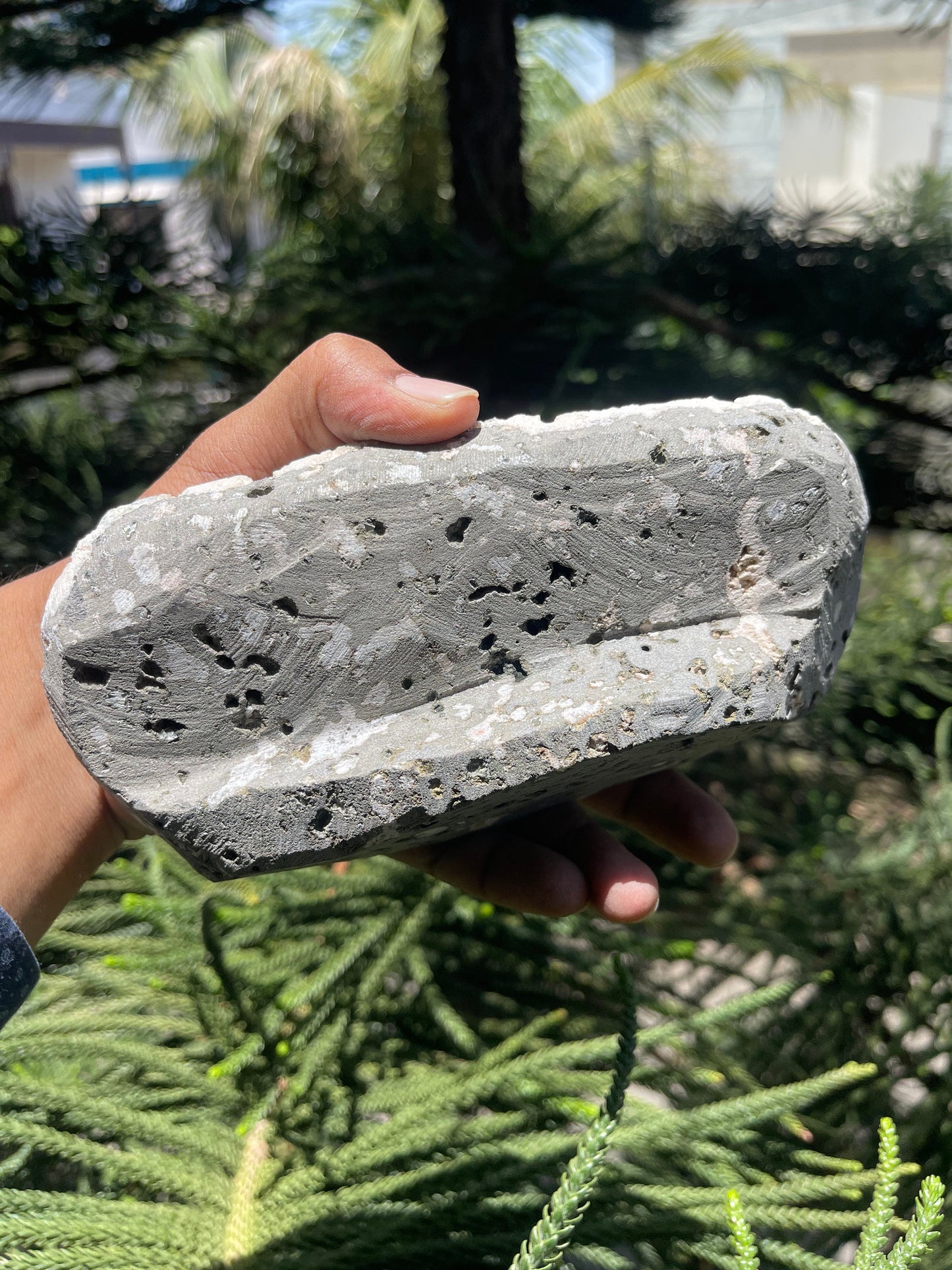 Cubicle green apophyllite crystals with stilbite on matrix