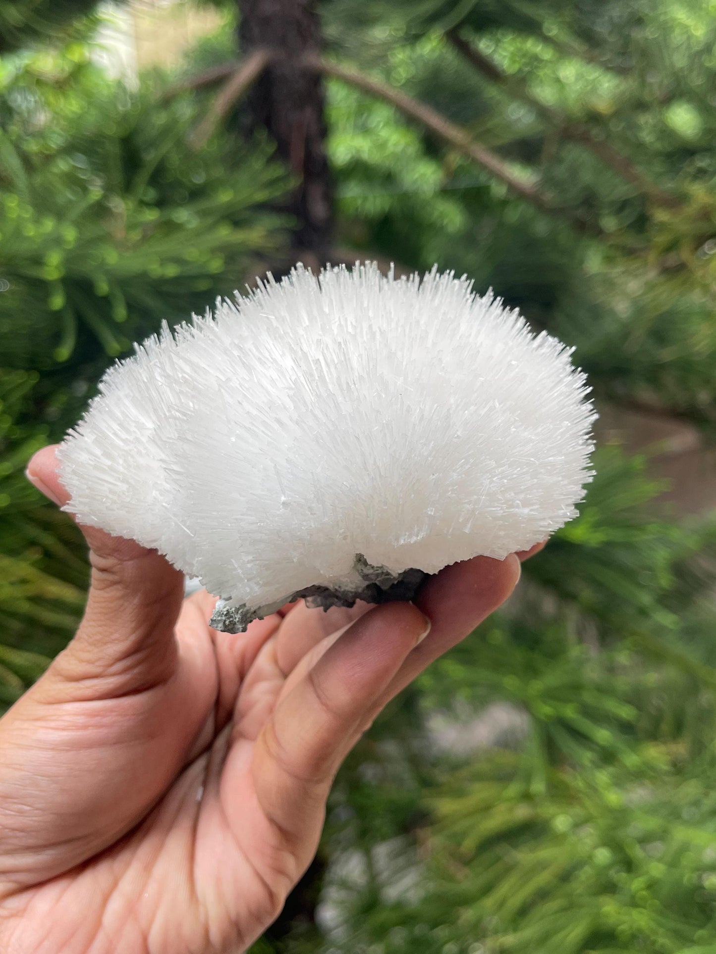 Perfect round shape flower of mesolite