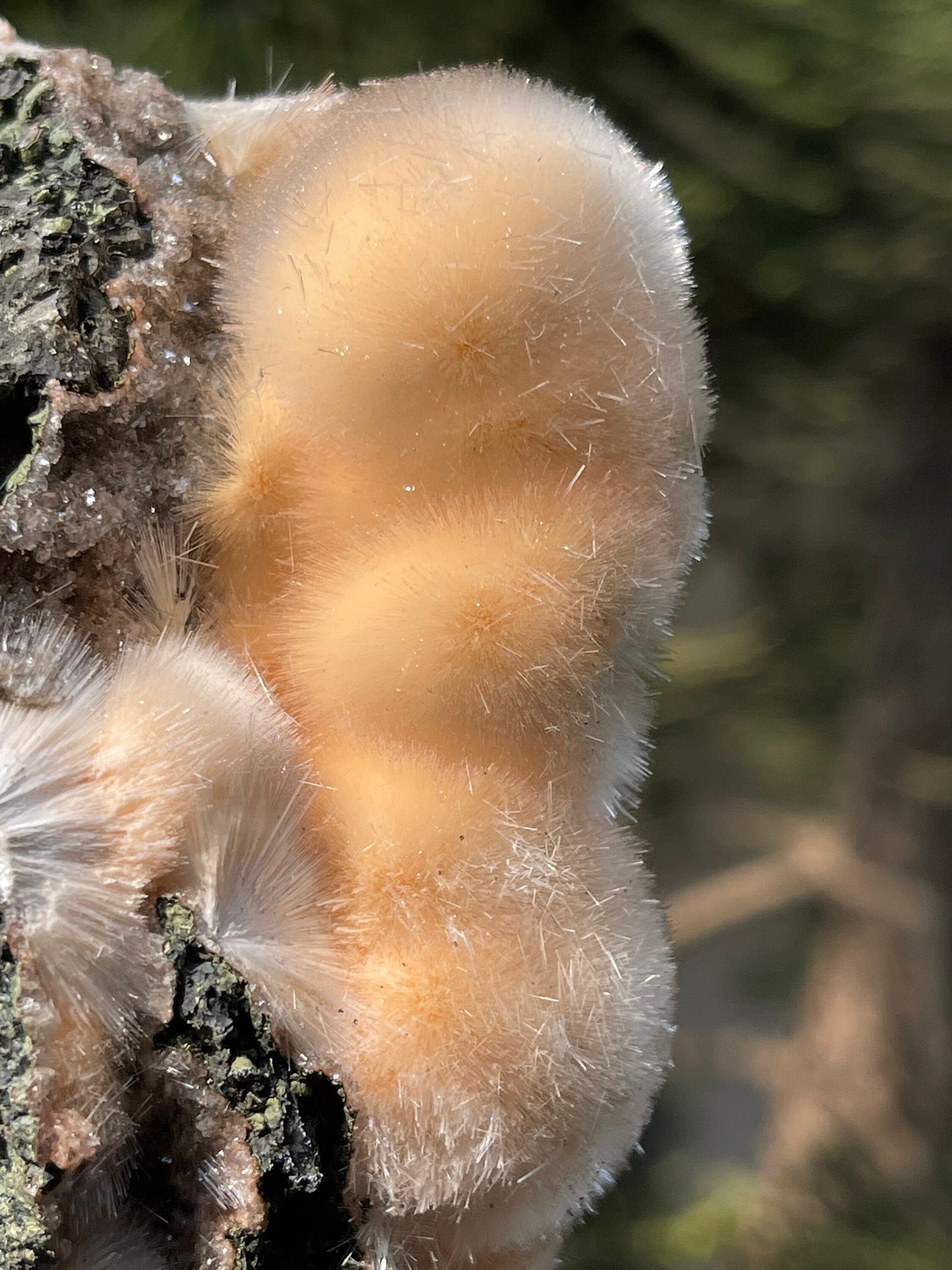 Natural orange mesolite new find
