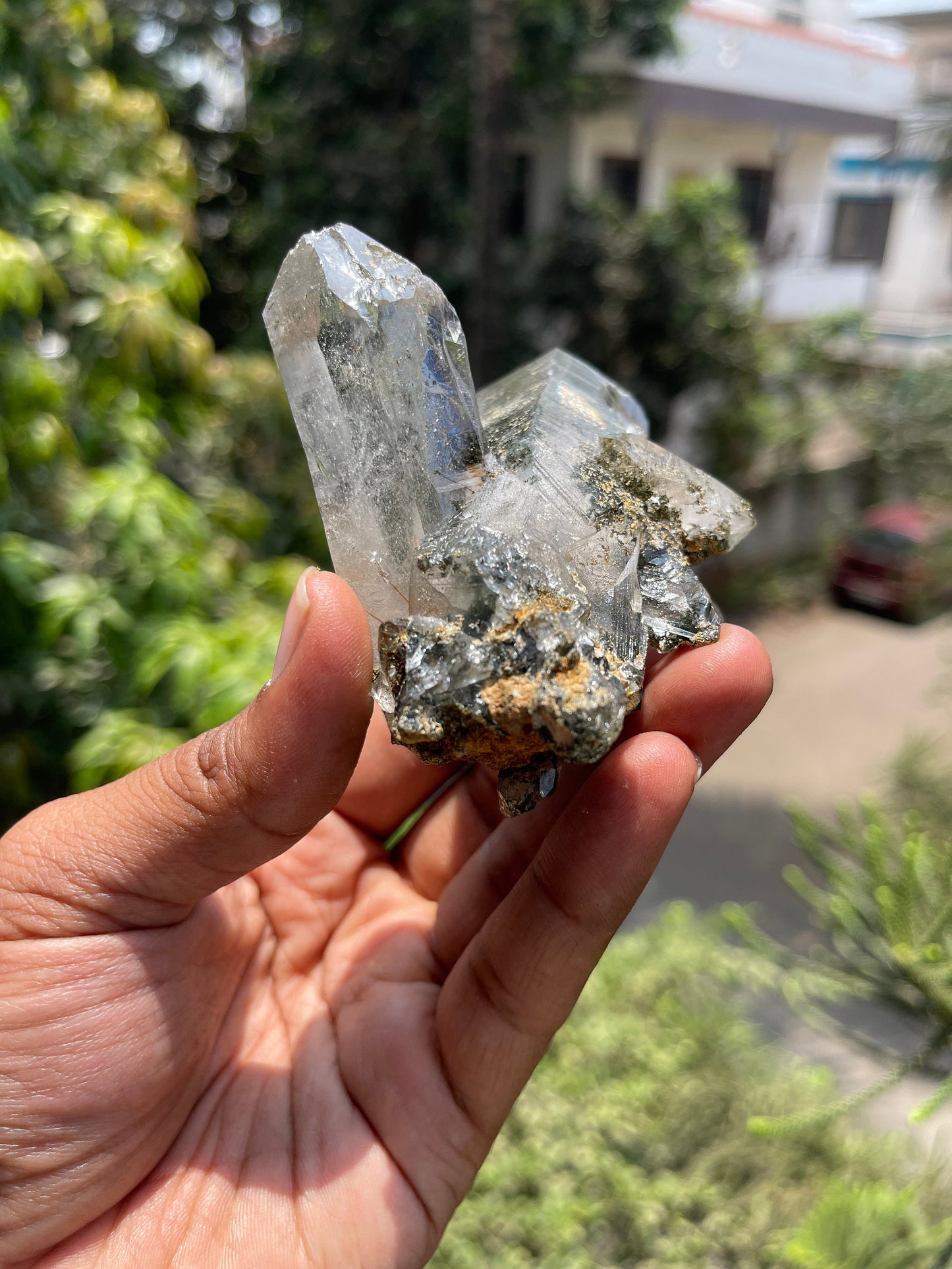 Twin Himalayan Chlorite Quartz Crystal with golden rutile