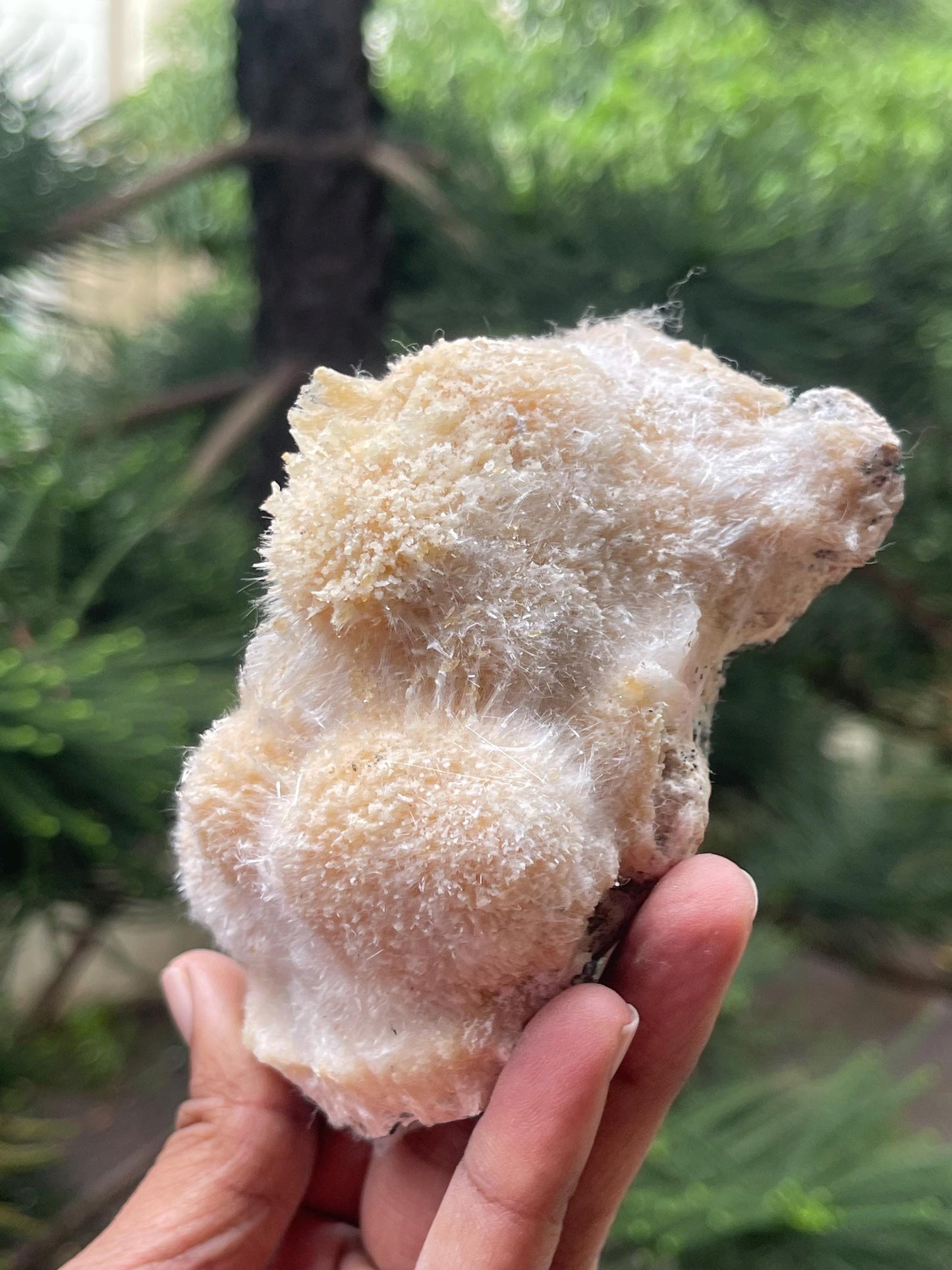 Golden thomsonite ball on matrix new find