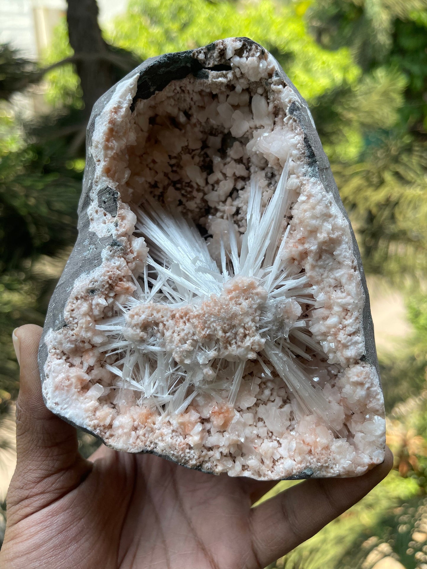 Scolecite spray with orange heulandite crystals inside geode natural specimen
