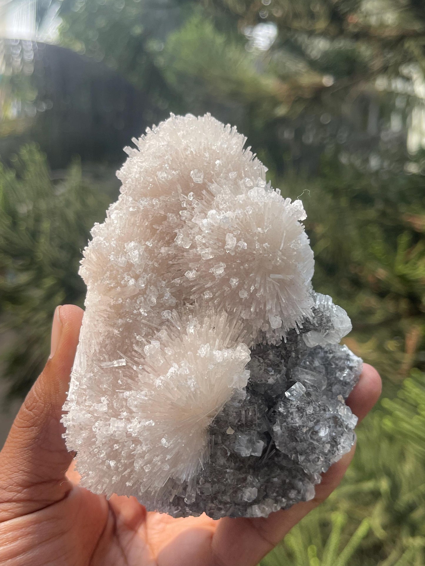 Glossy Apophyllite crystals on scolecite flower