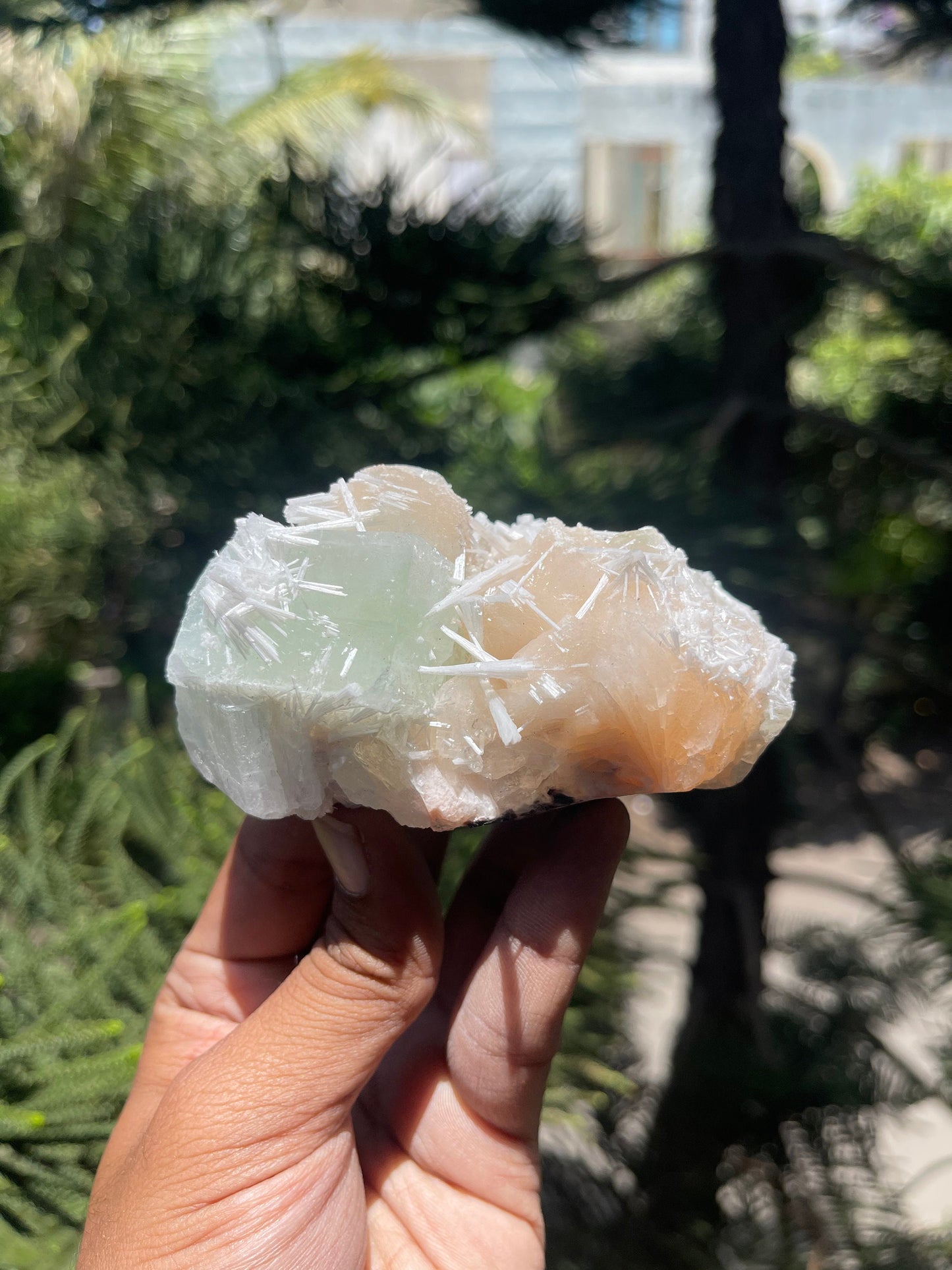 Green apophyllite crystal with stilbites and scolecite