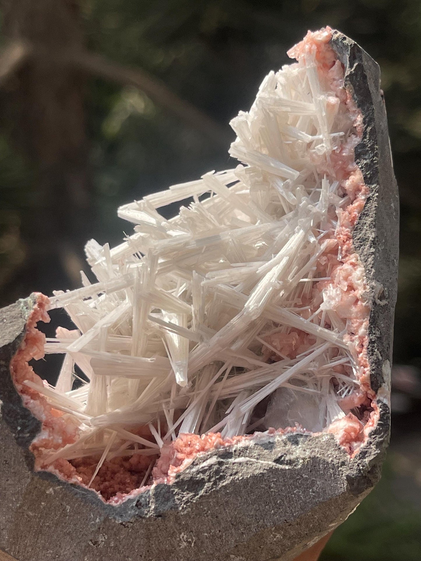 scolecite spray on orange heulandite matrix