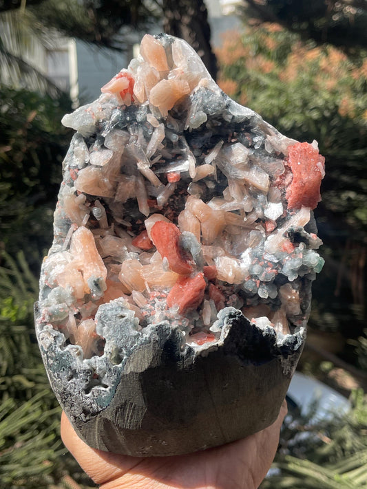 brown heulandite crystal on black coral with stilbite