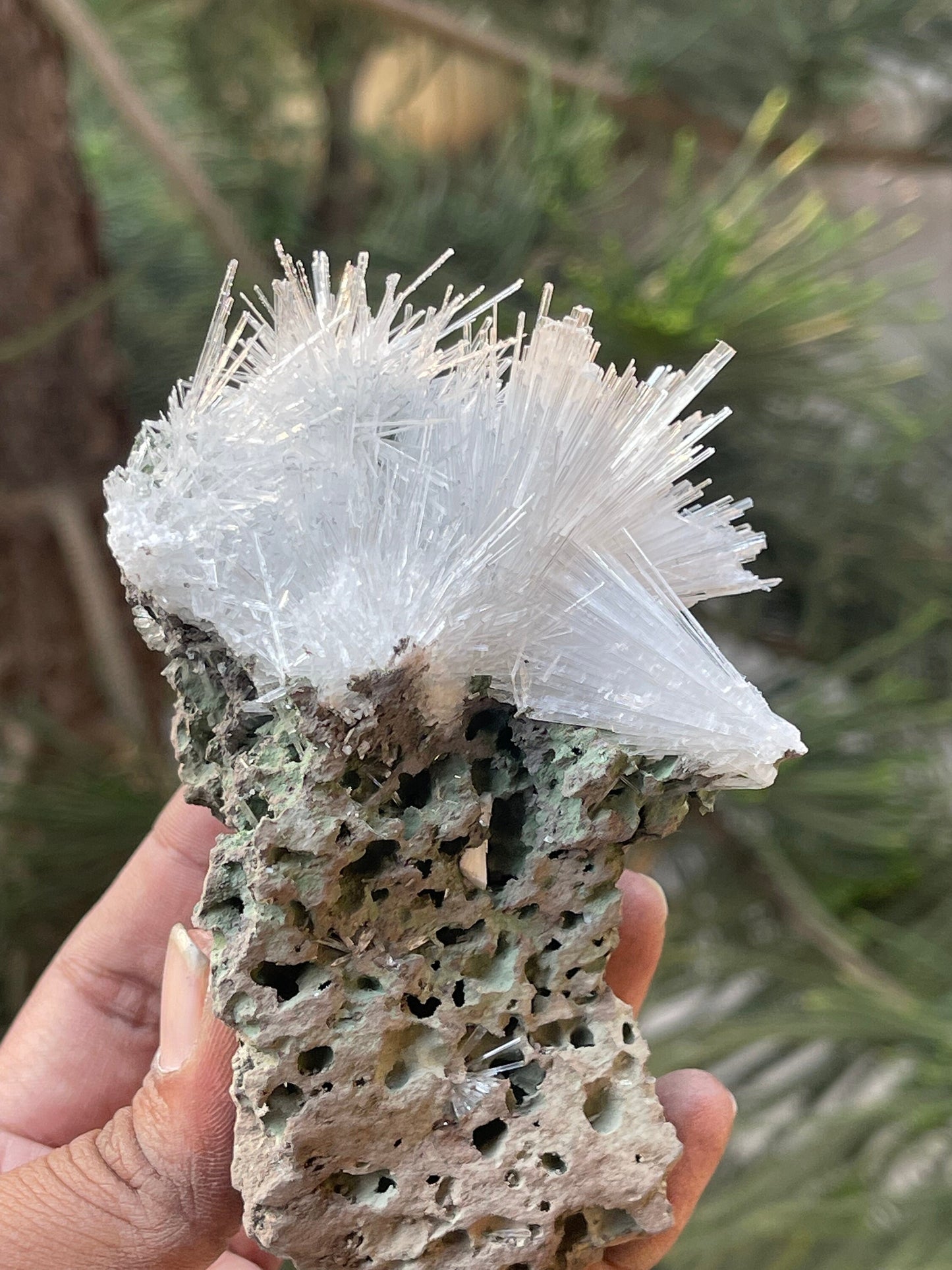Scolecite crystals on matrix