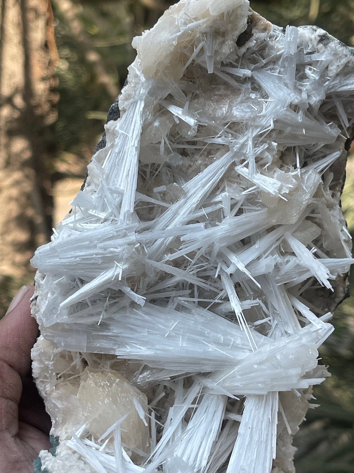 Shiney scolecite spray with stilbite/heulandite base