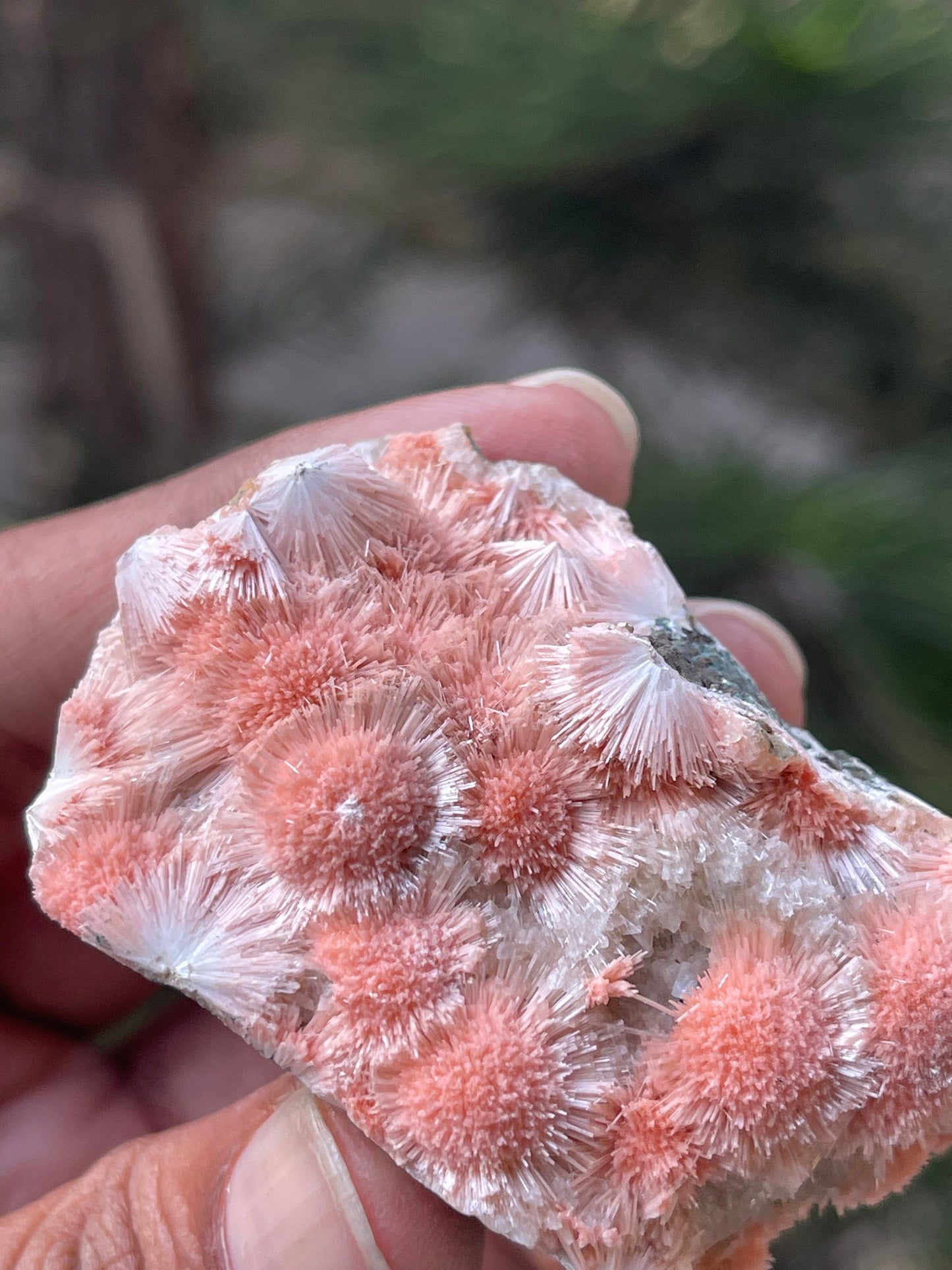 Multiple orange mesolite crystal