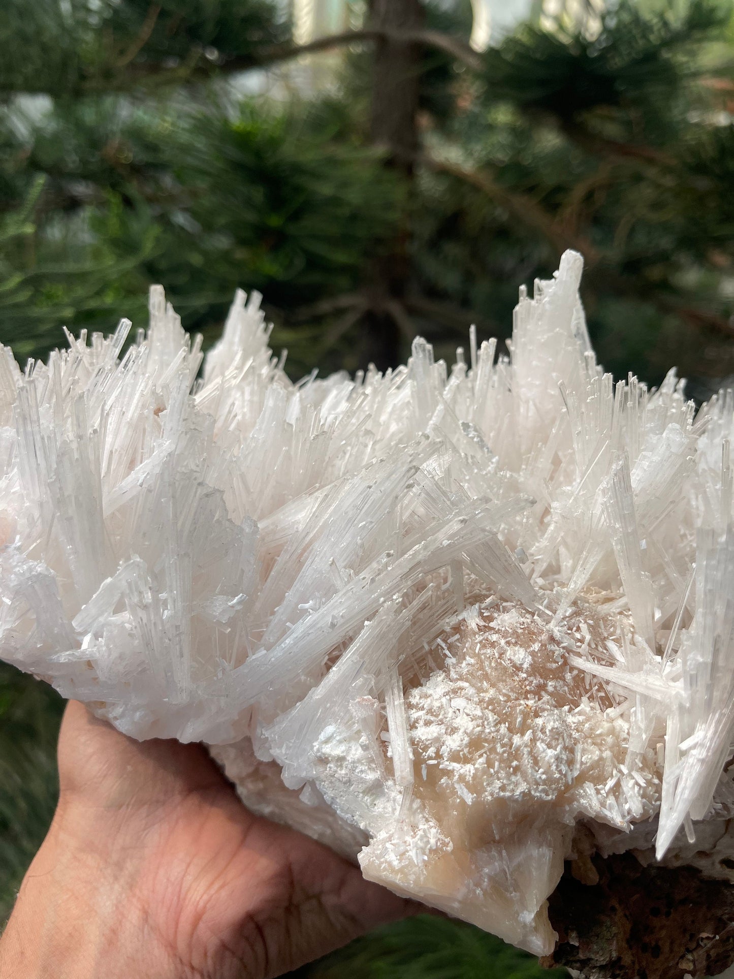 Scolecite spray on stilbite base