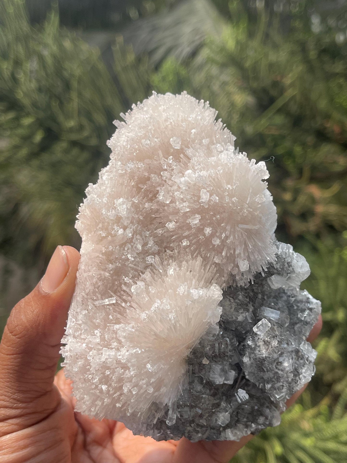 Glossy Apophyllite crystals on scolecite flower