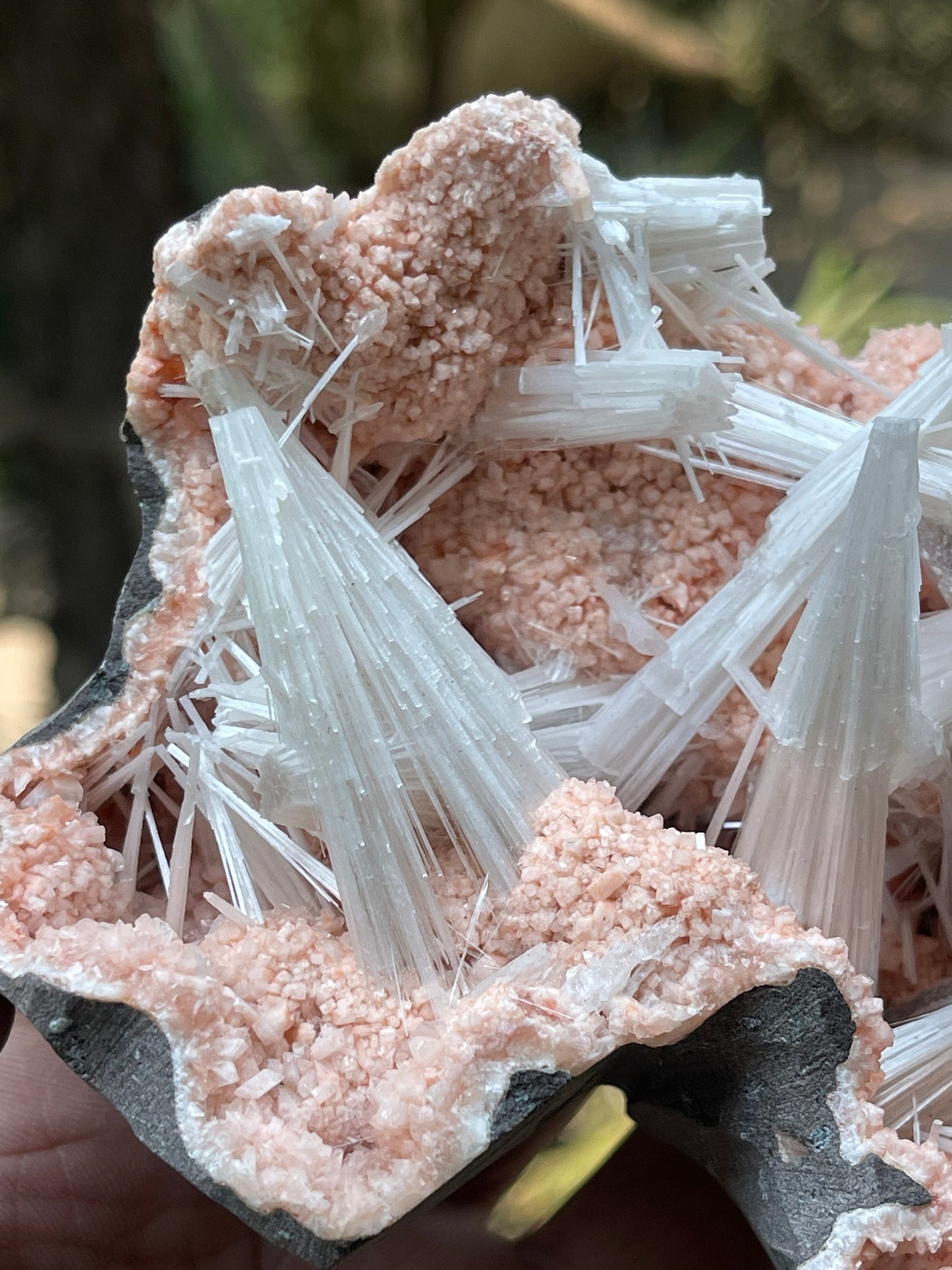 Multiple scolecite sprays on orange heulandite matrix natural specimen