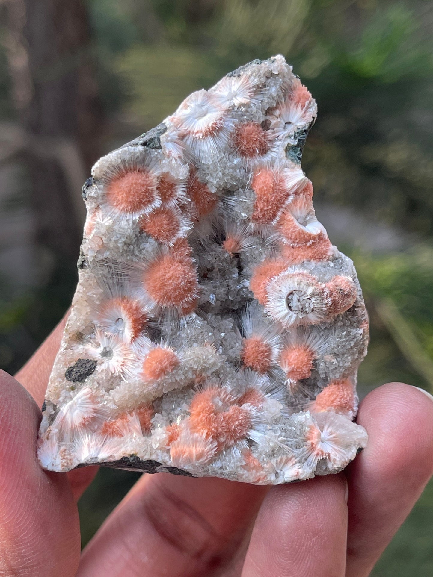 Orange mesolite crystal on heulandite matrix