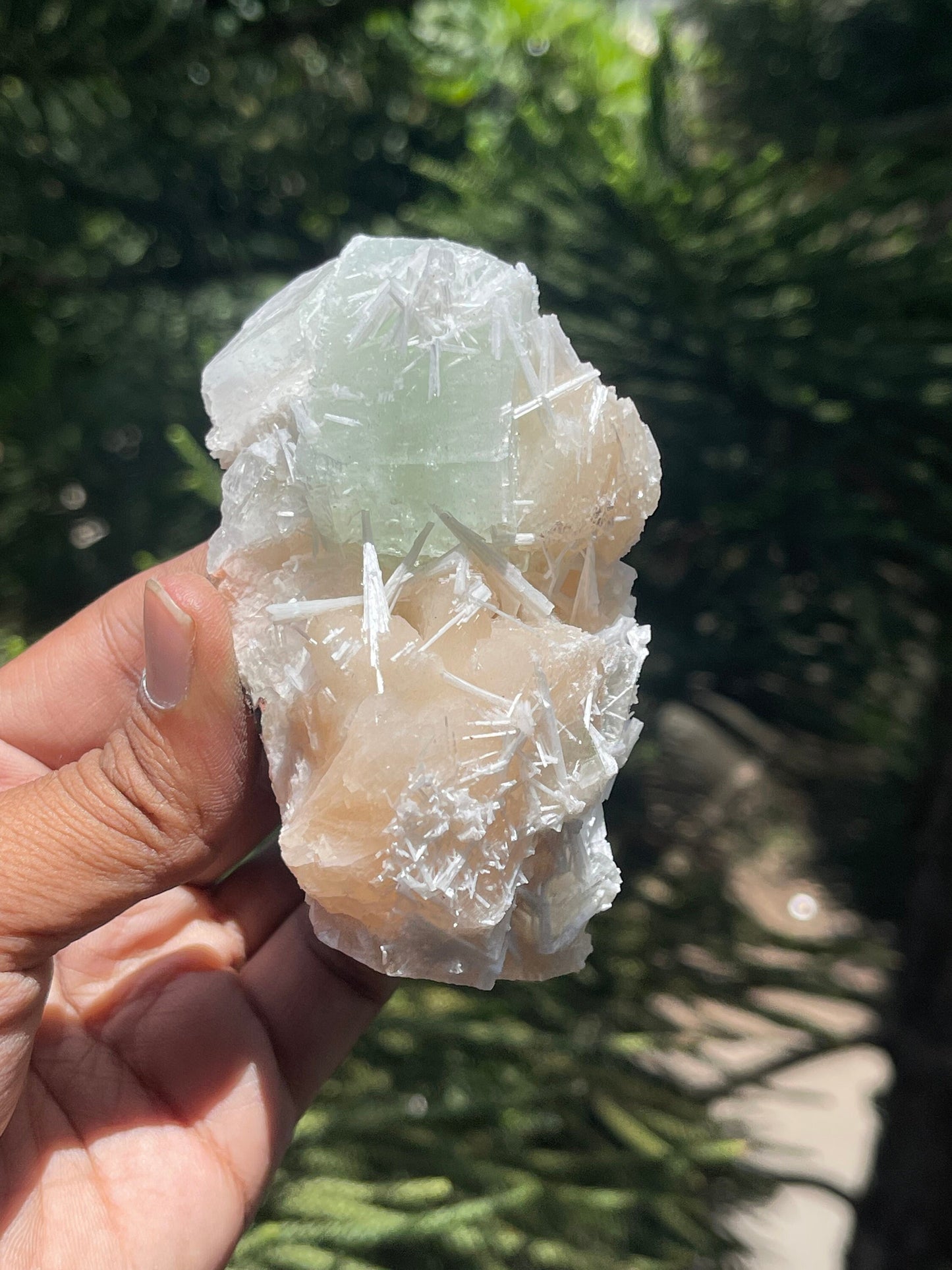 Green apophyllite crystal with stilbites and scolecite