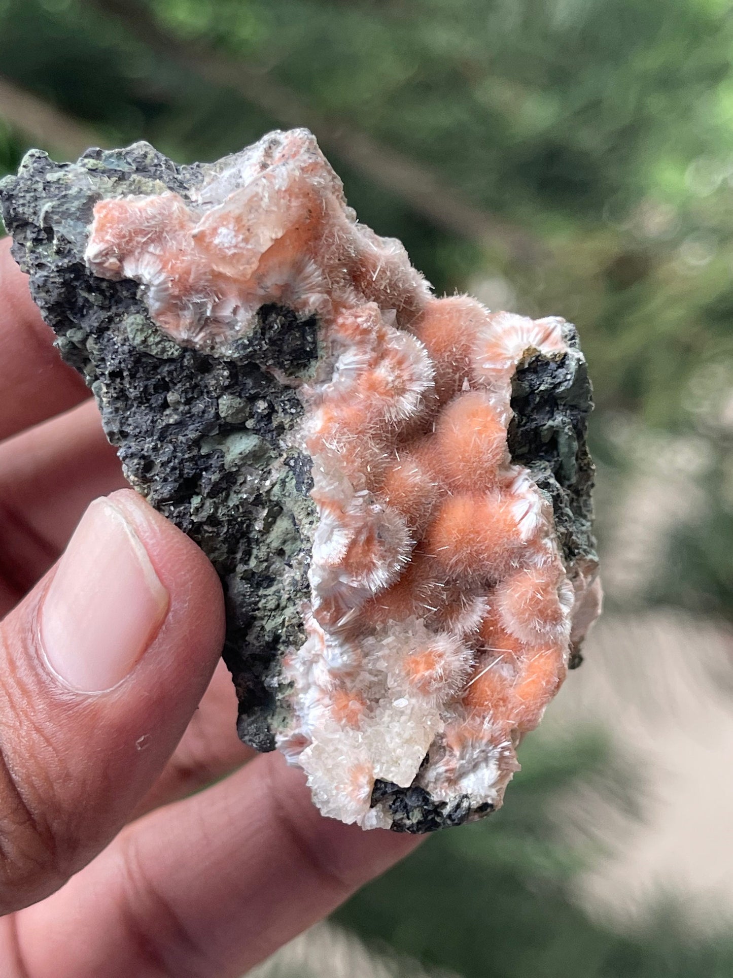 Orange mesolite