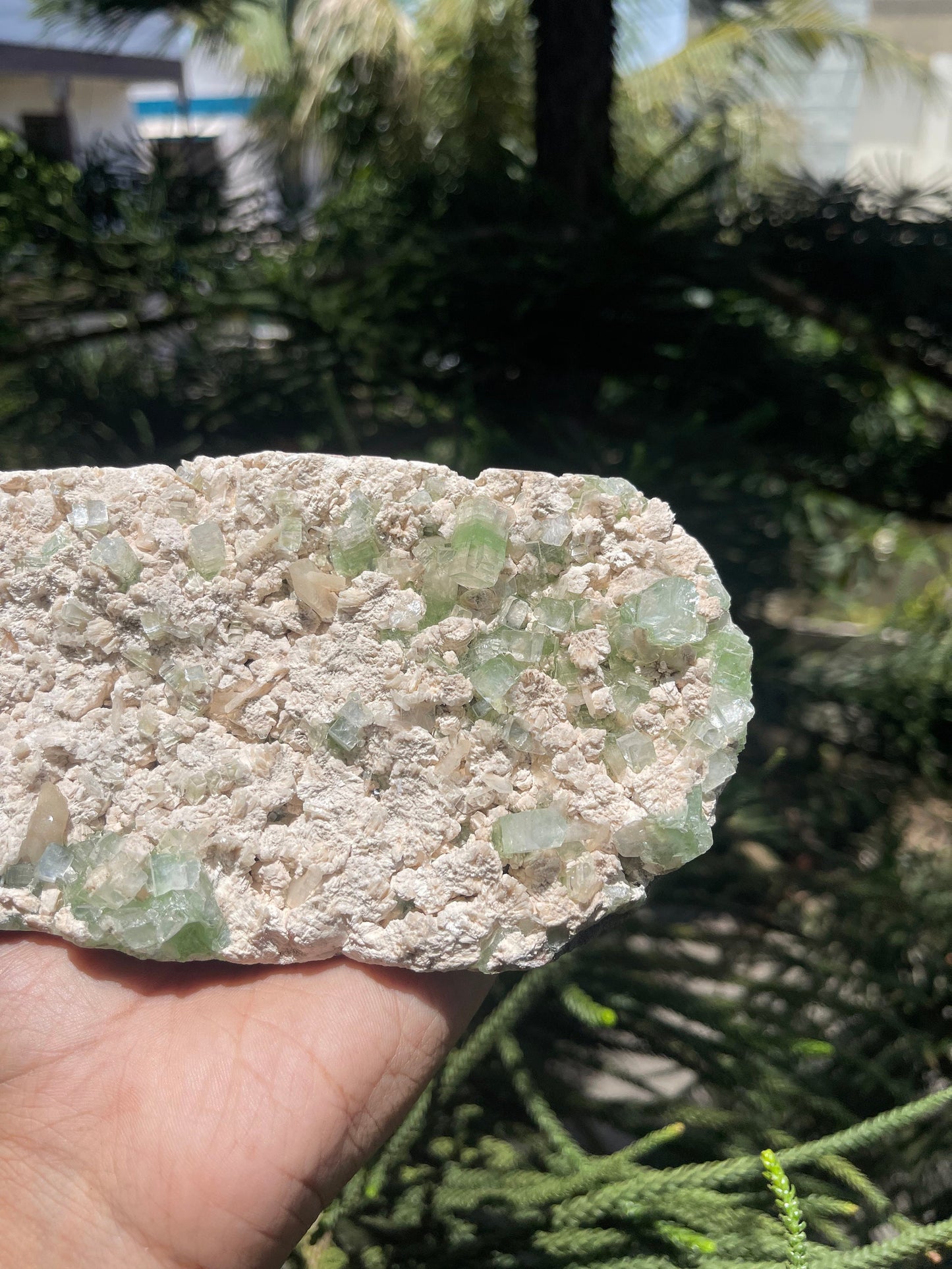 Cubicle green apophyllite crystals with stilbite on matrix