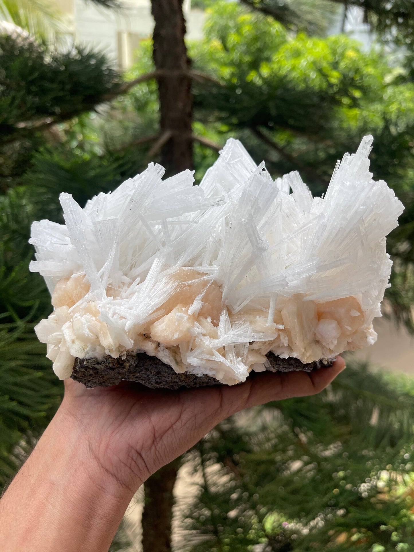 Glossy scolecite spray on orange stilbite crystal natural specimen