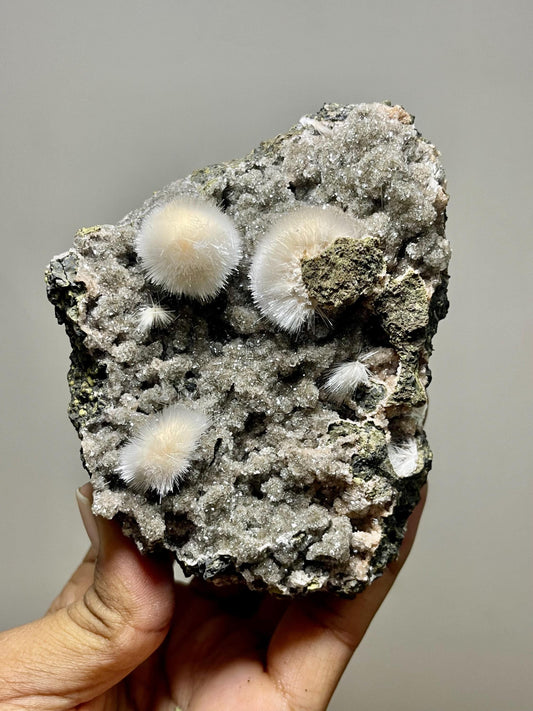 Mesolite flower on black chalcedony matrix natural specimen