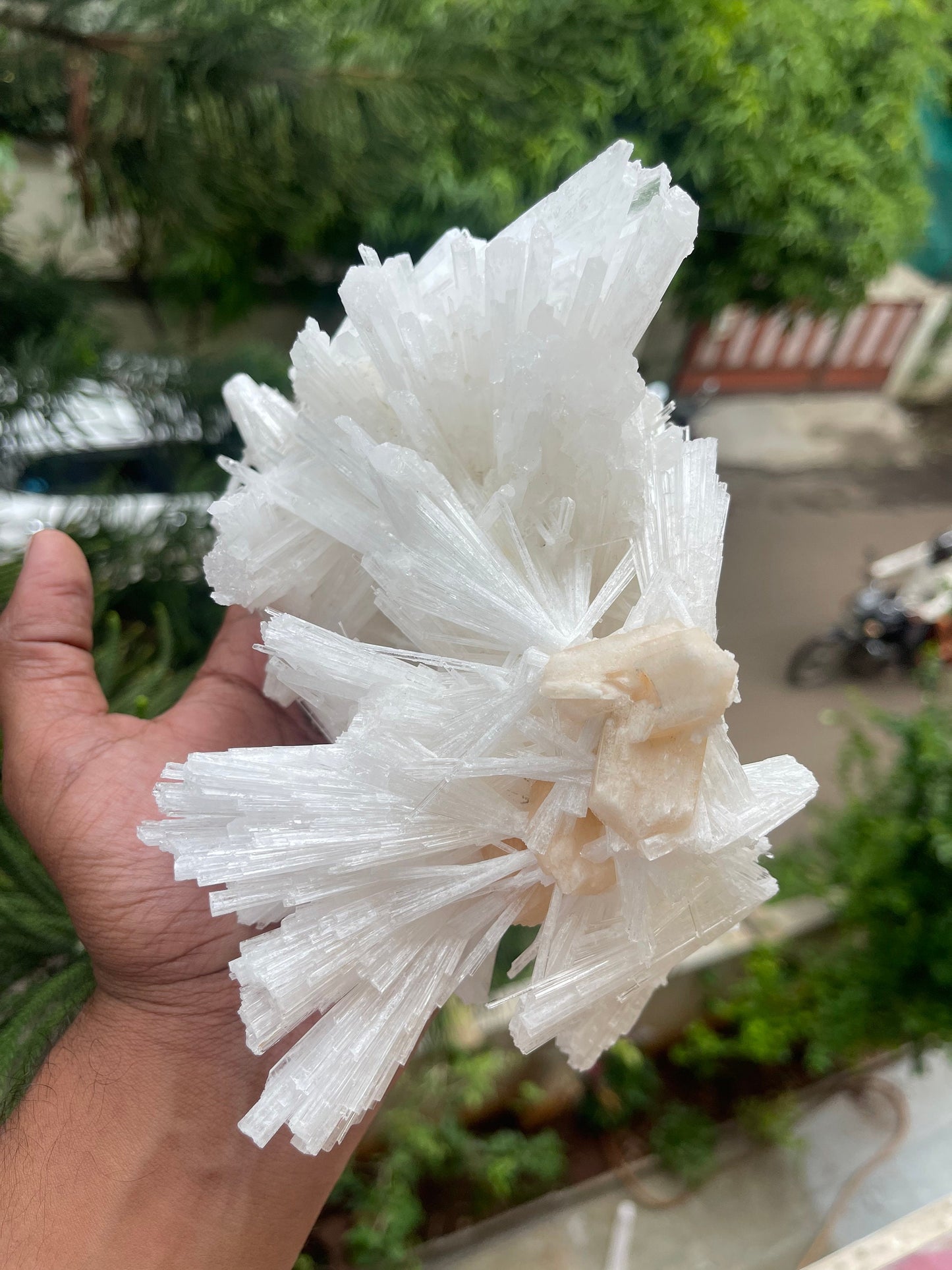 Scolecite spray with stilbite