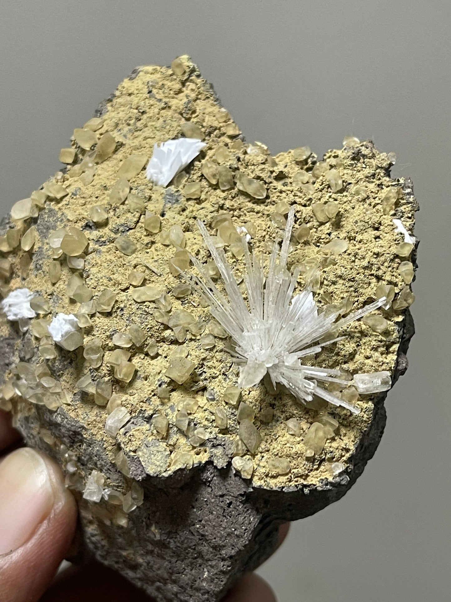 Scolecite flower with multiple golden calcite crystal