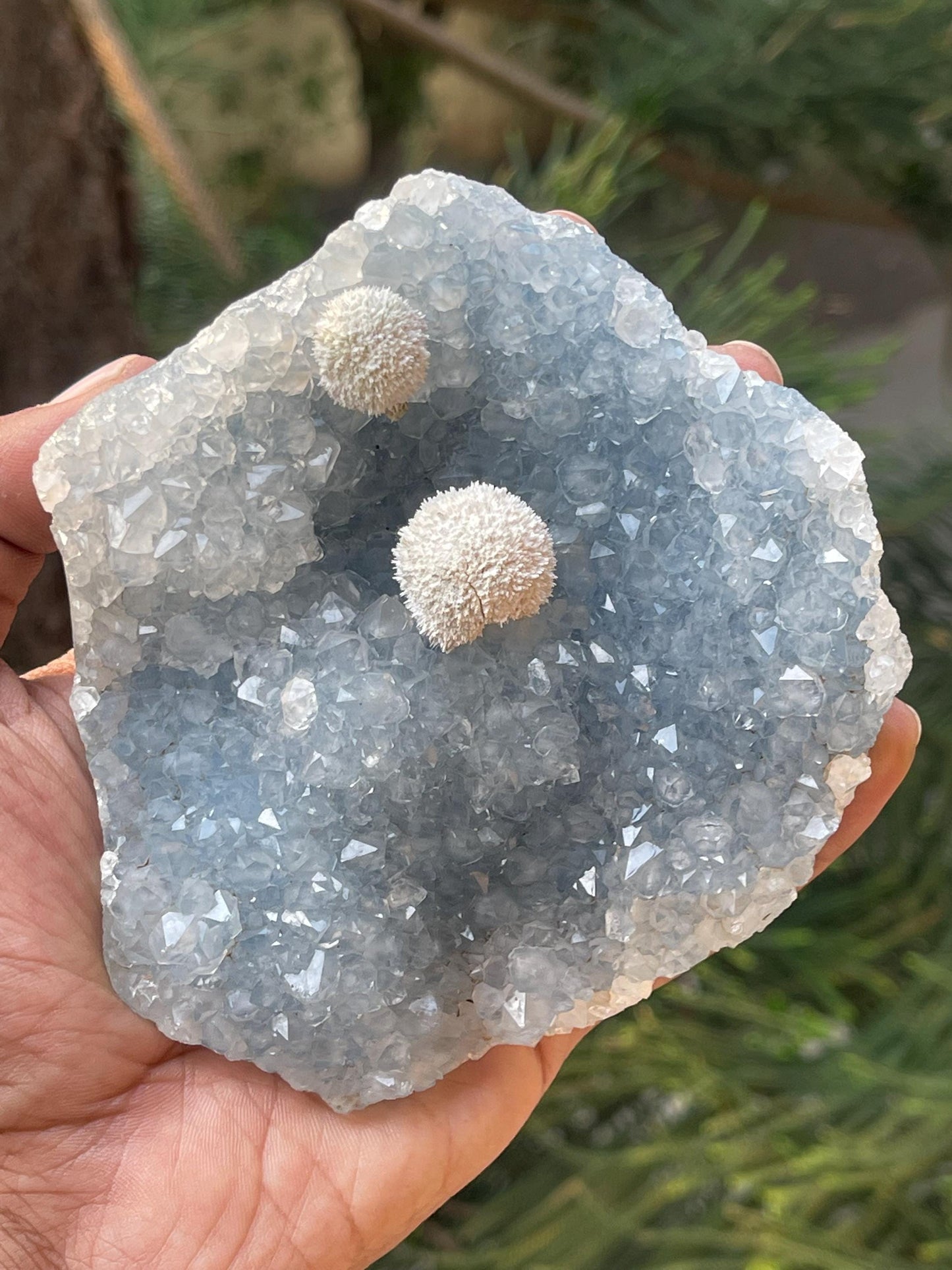 Twin okenite ball on blue quartz
