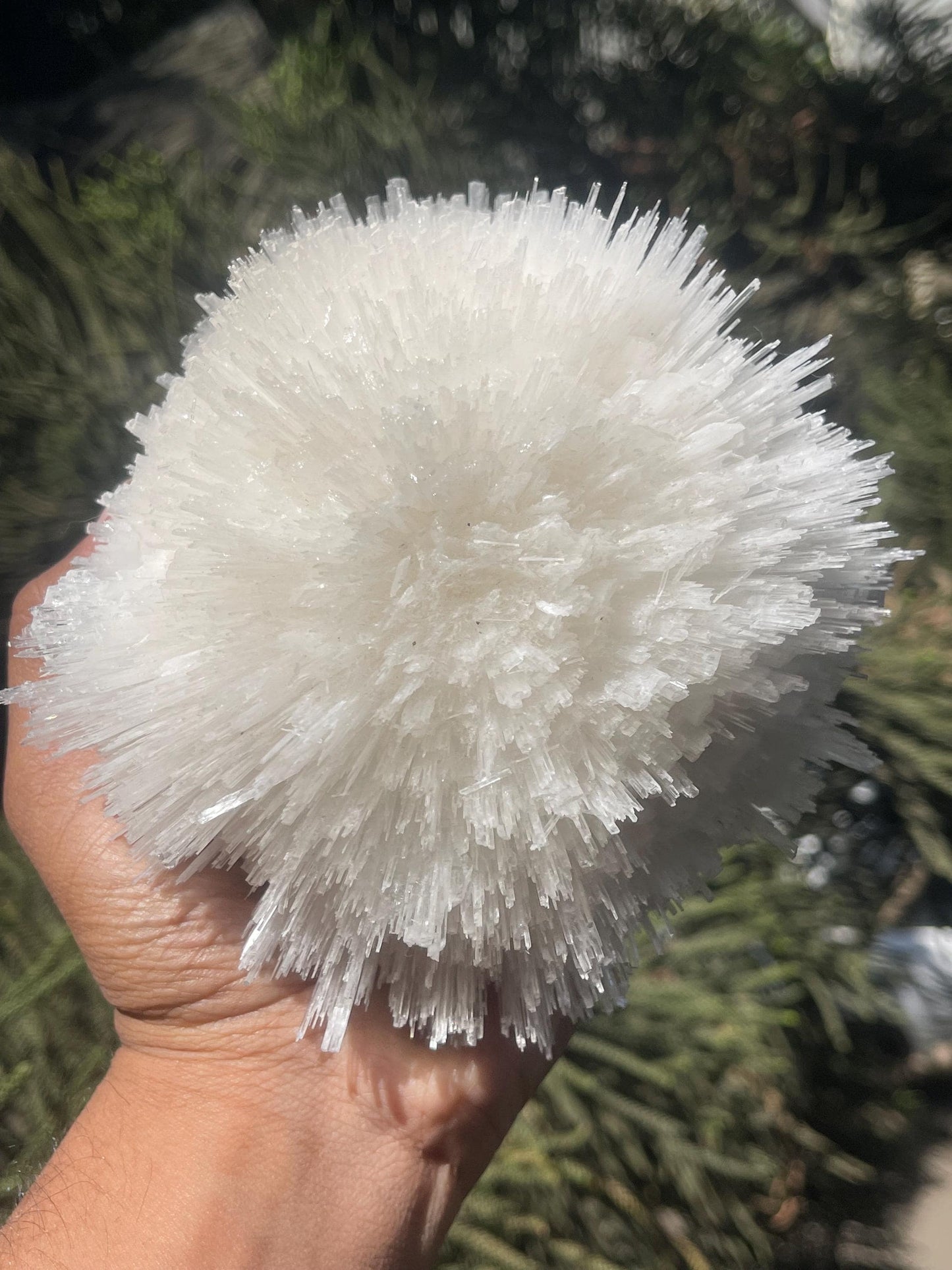 perfect scolecite flower