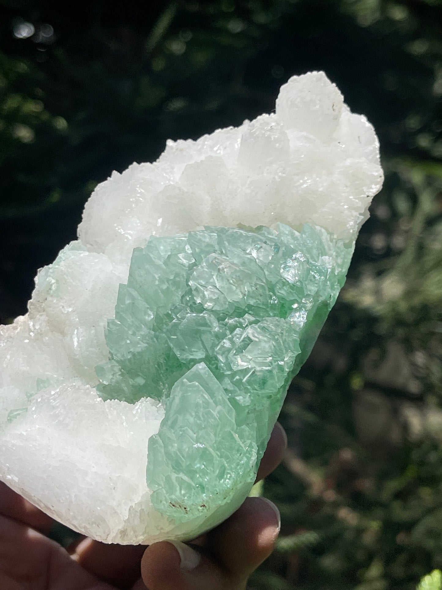 Green apophyllite flower with glossy stilbite natural specimens