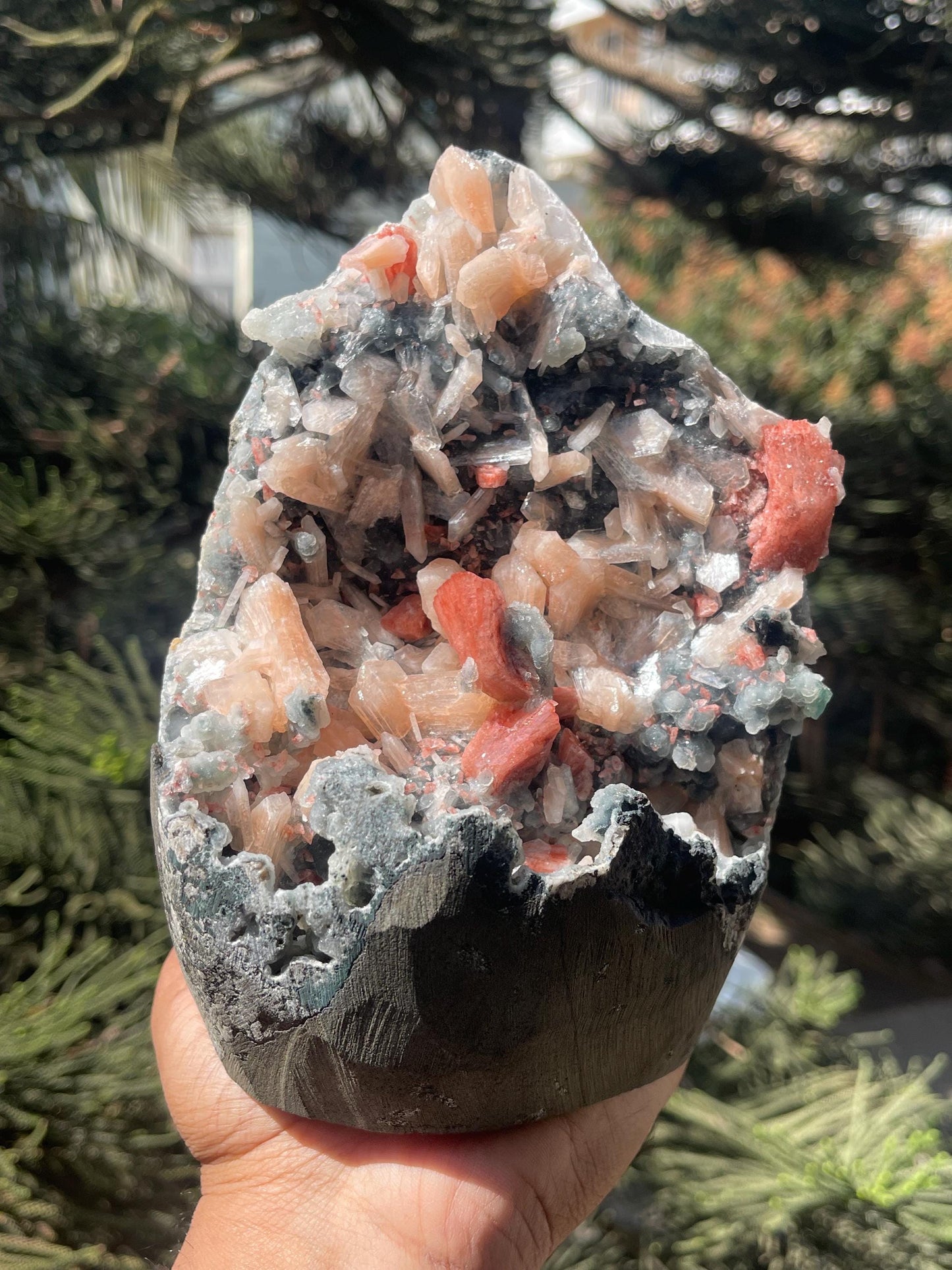 brown heulandite crystal on black coral with stilbite