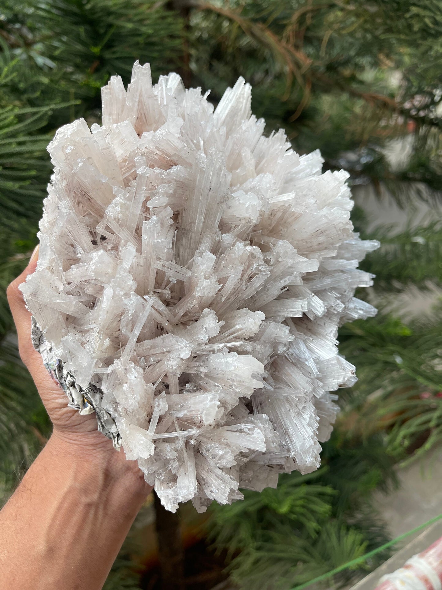 Glossy scolecite flowers natural specimens