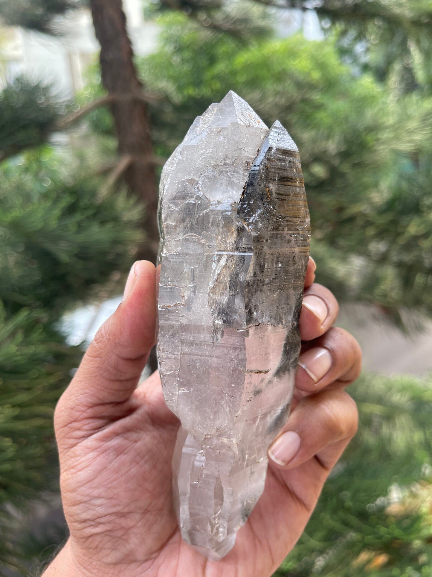 Double terminated Himalayan quartz floater