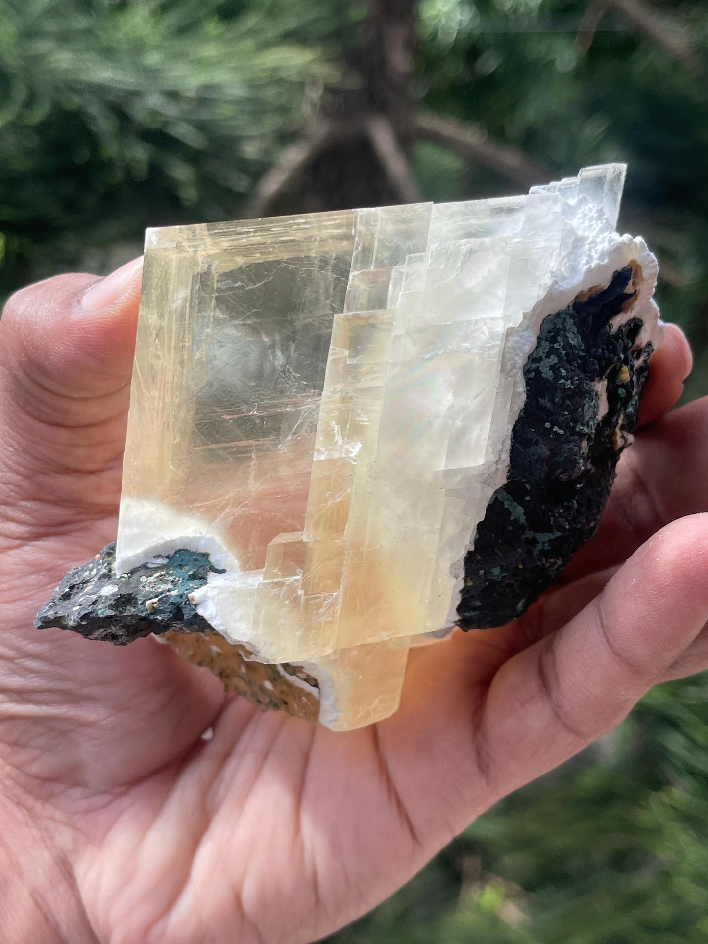 Golden calcite crystal inside mordenite with rainbow