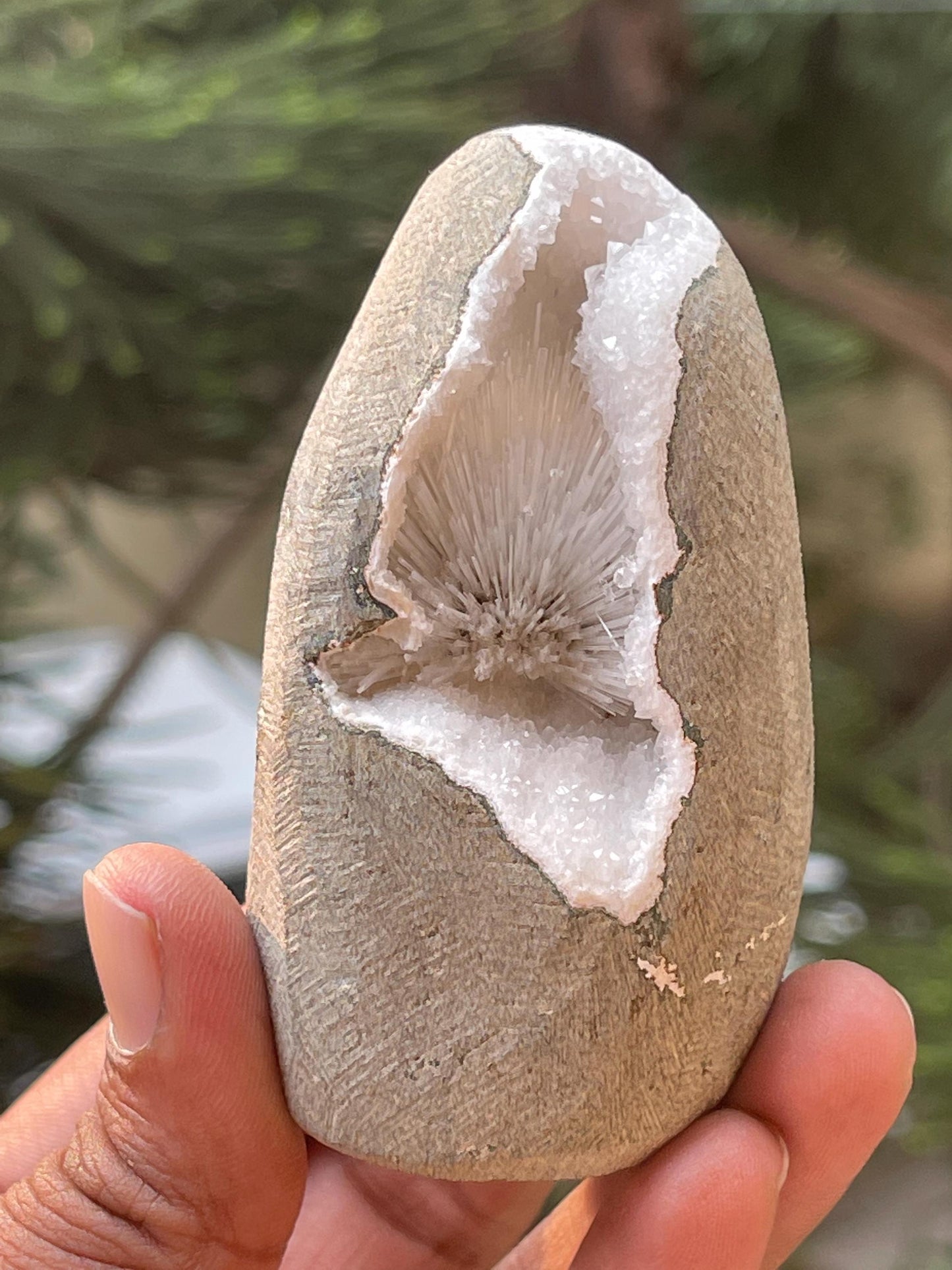 Scolecite flower inside geode