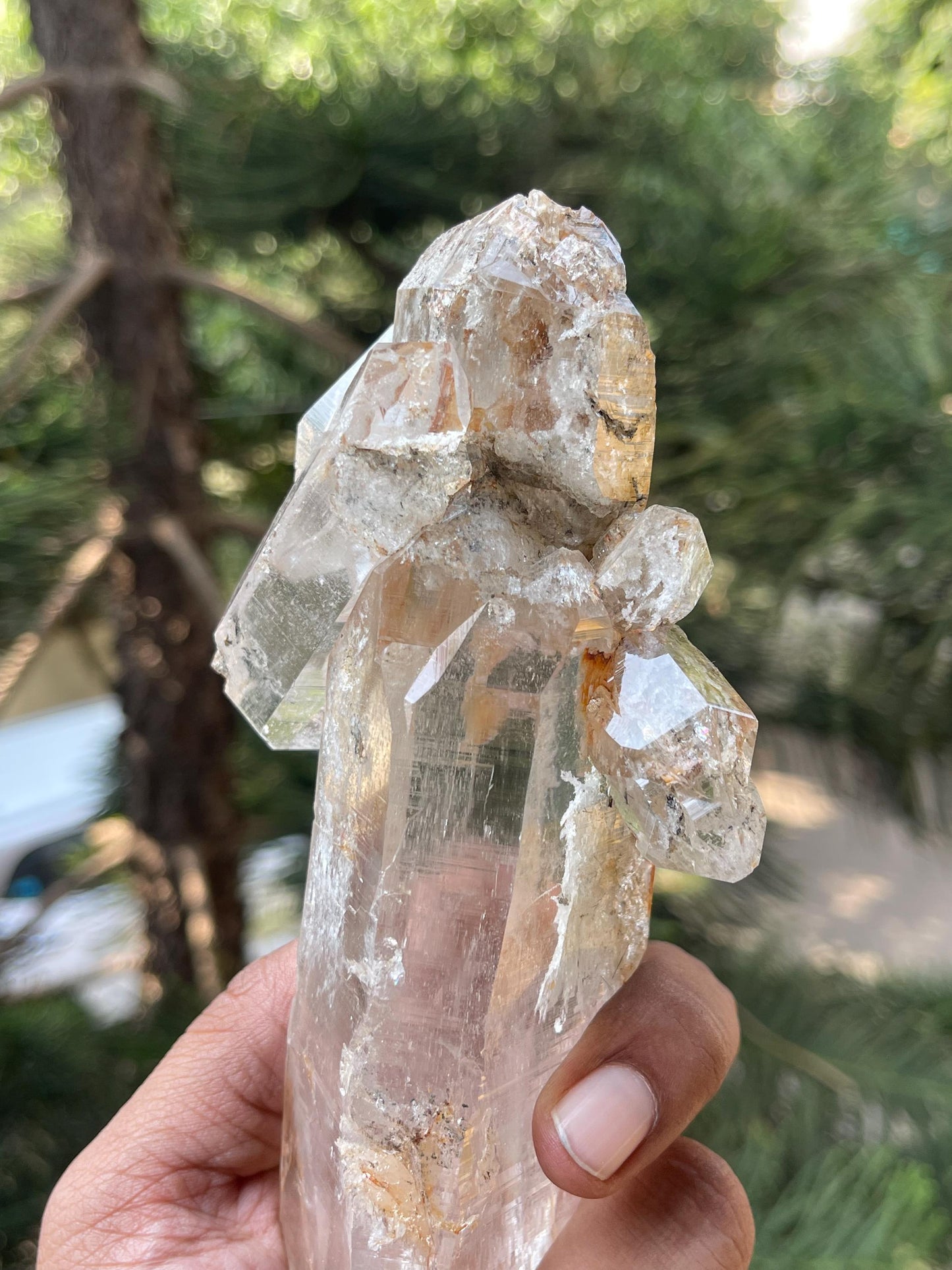Himalayan quartz crystal