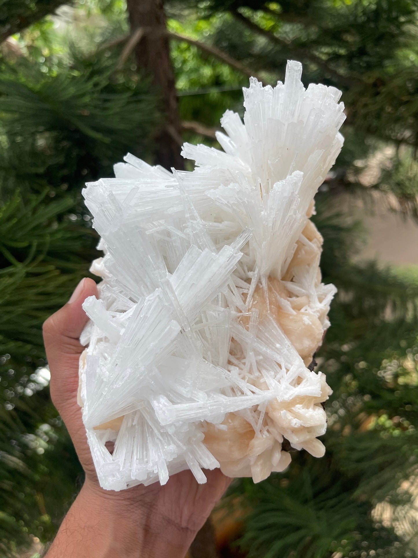 Glossy scolecite spray on orange stilbite crystal natural specimen