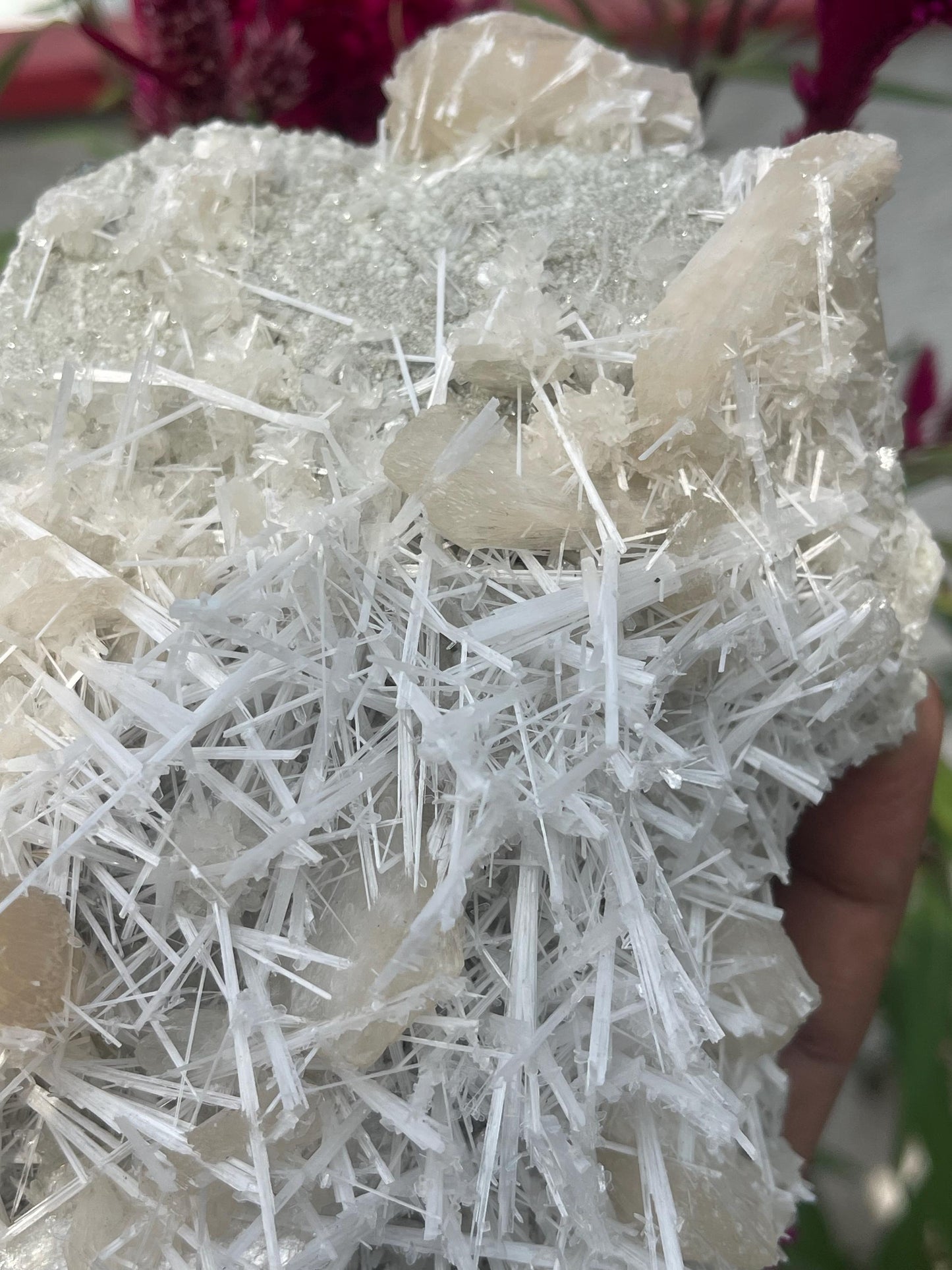 Glossy scolecite spray with stilbite on chalcedony matrix