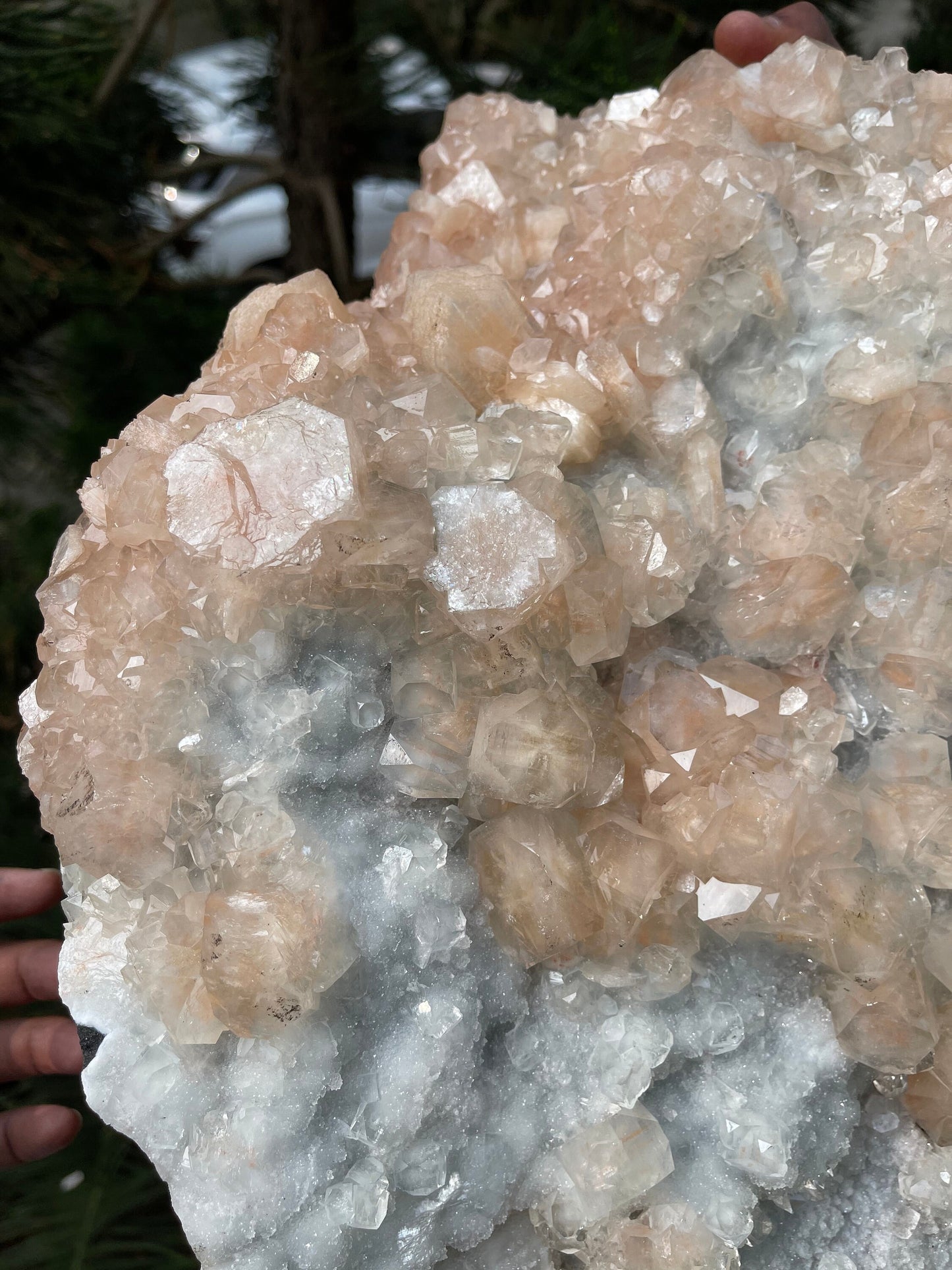 14kg Pink apophyllite crystal on white chalcedony base