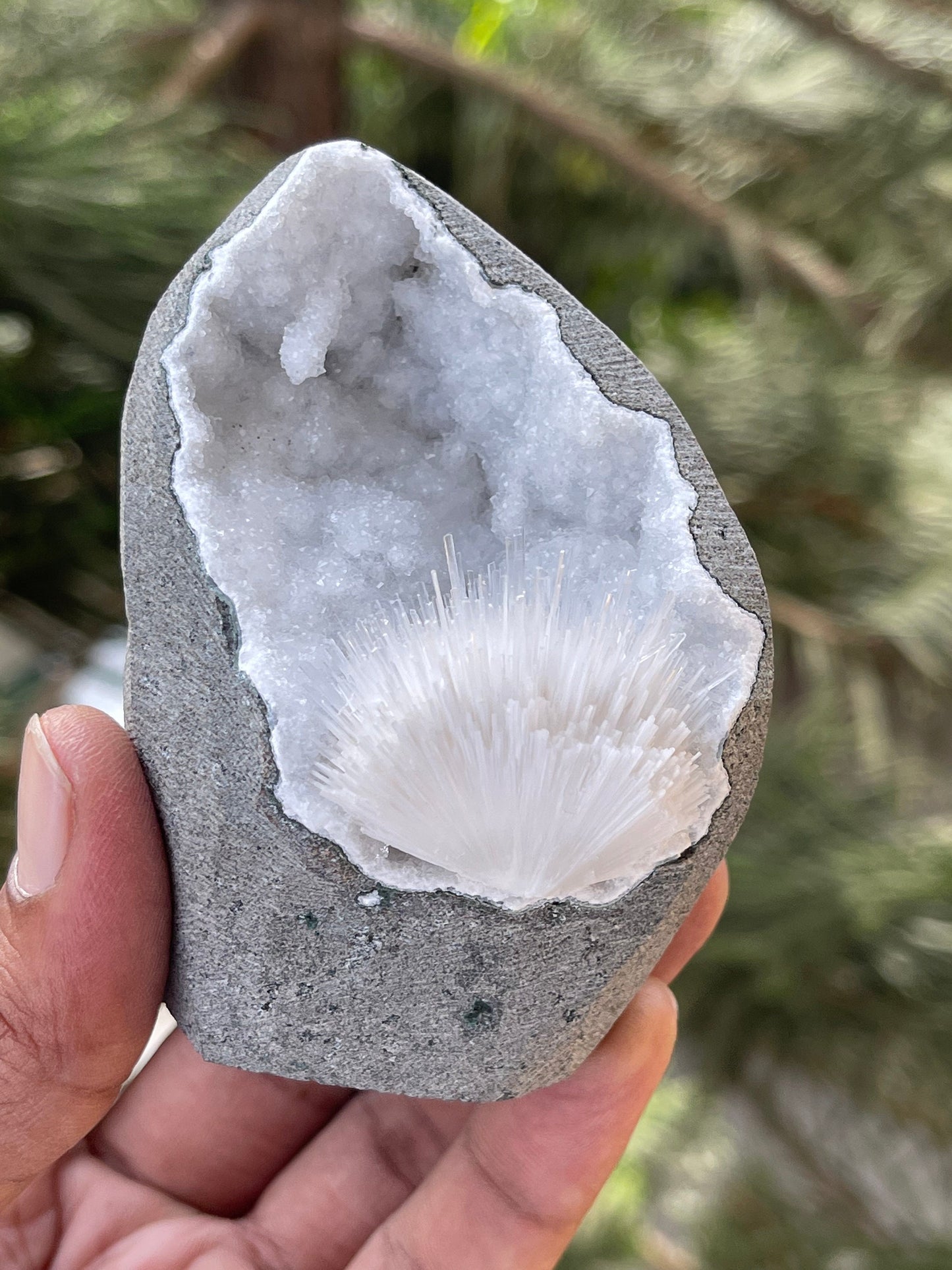 Scolecite flower inside quartz geode