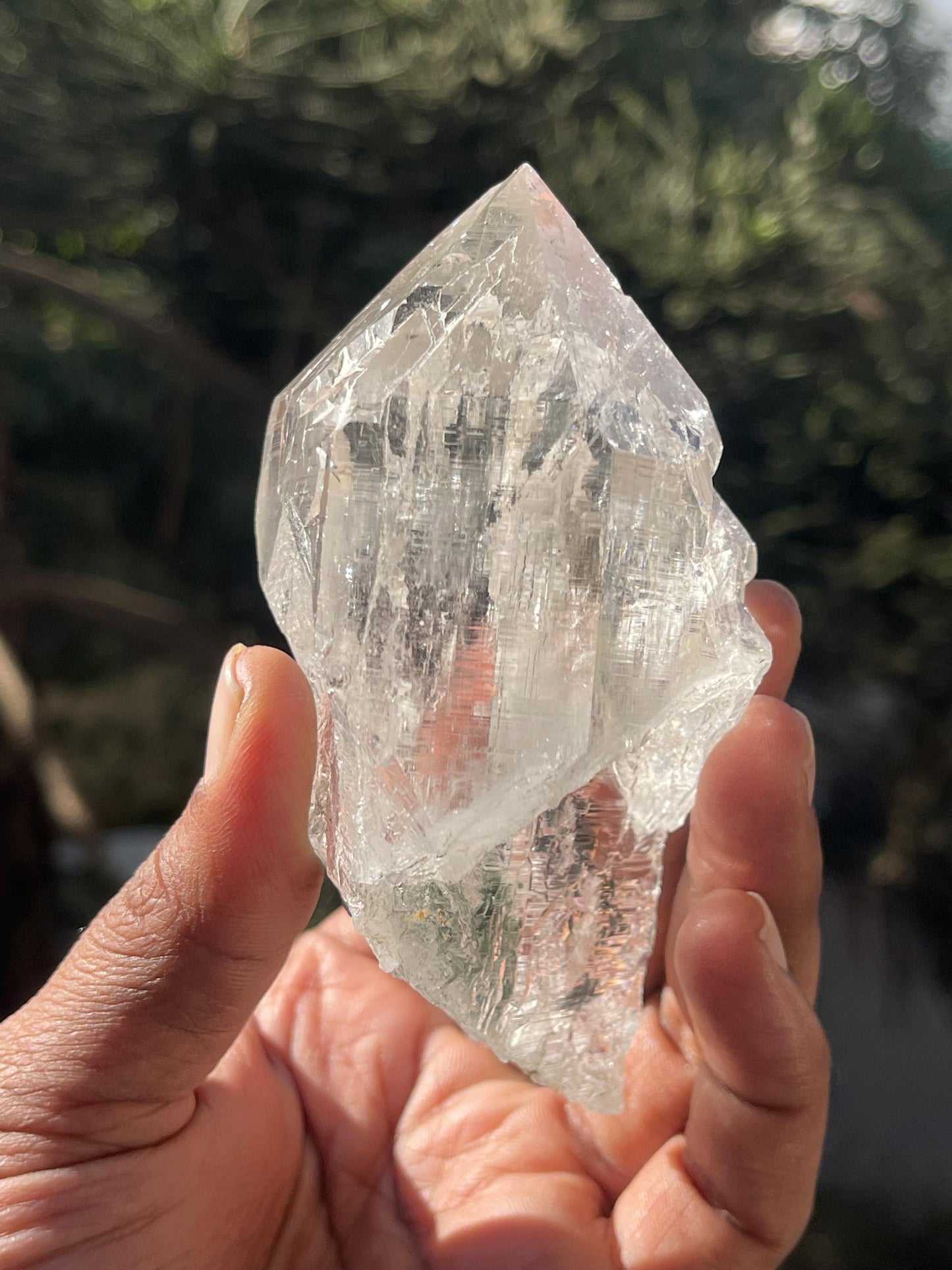 Himalayan clear cathedral quartz crystal with green chloride