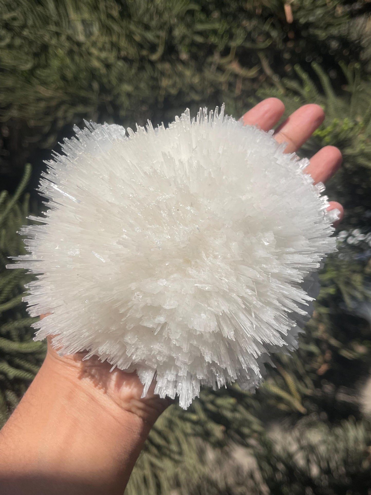 perfect scolecite flower