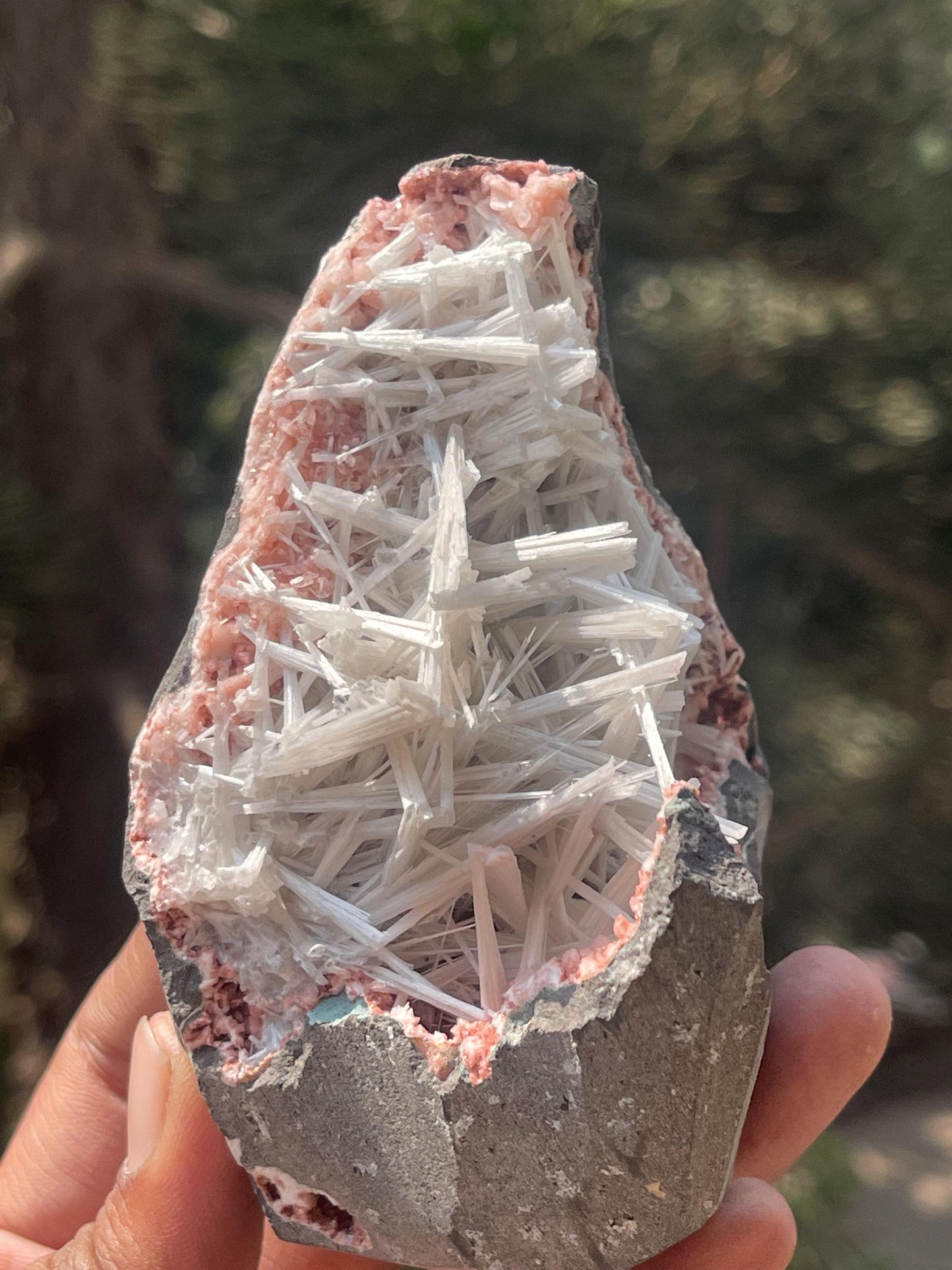 scolecite spray on orange heulandite matrix
