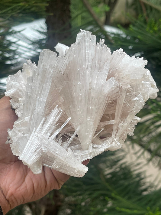 Scolecite spray #1