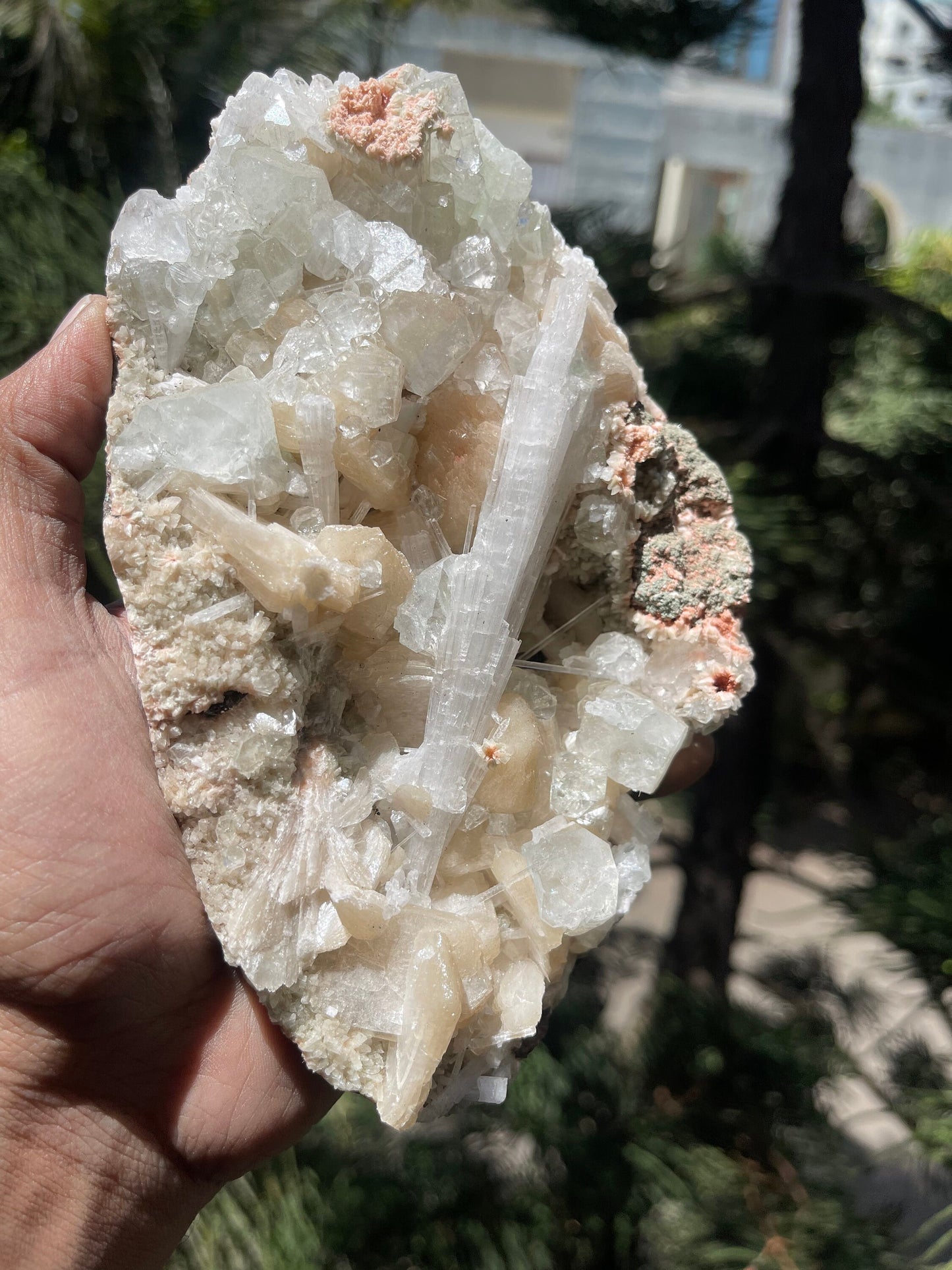 Scolecite spray with stilbite/ apophyllite crystals