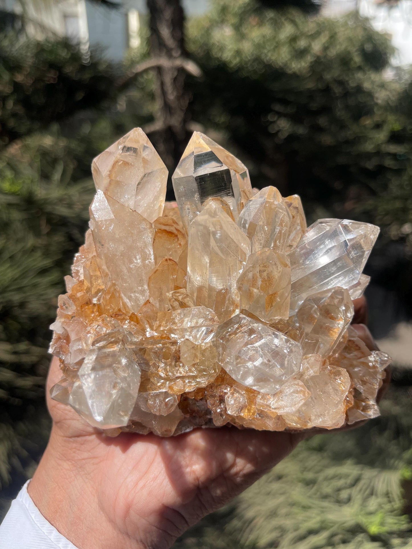 clear Himalayan cathedral crystal on matrix