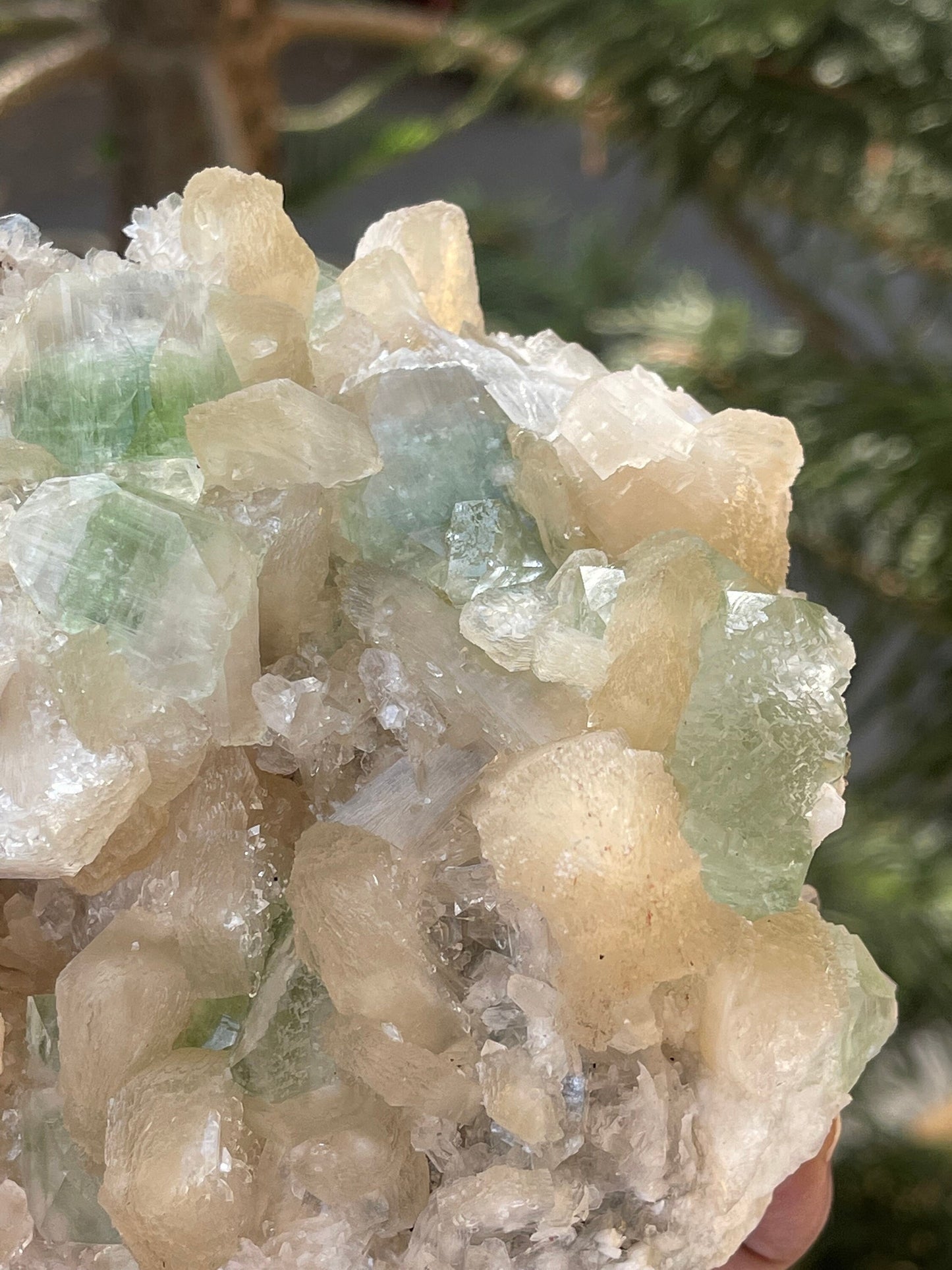 Cubicle green apophyllite crystal on stilbite