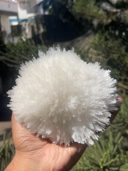perfect scolecite flower