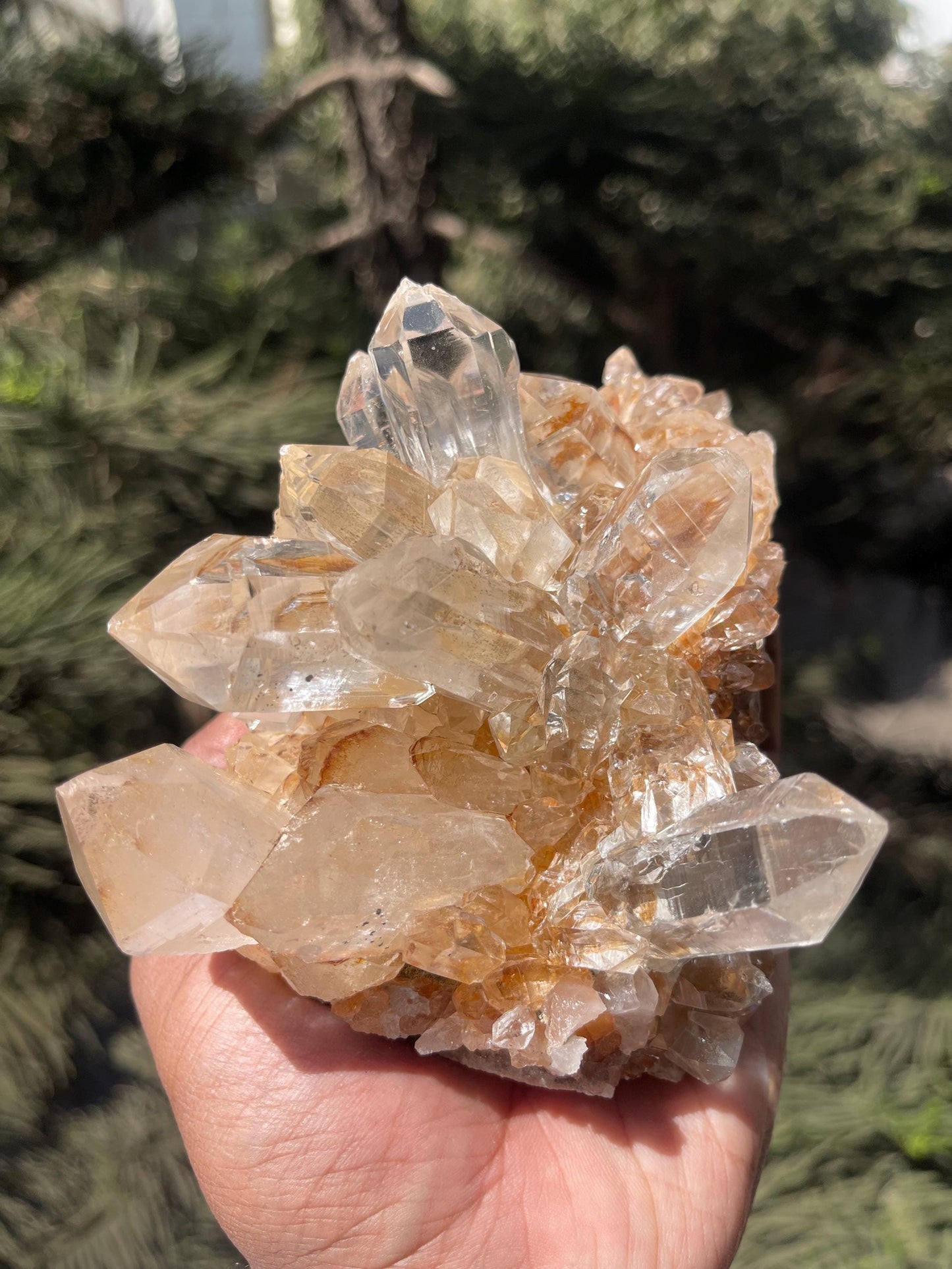 clear Himalayan cathedral crystal on matrix