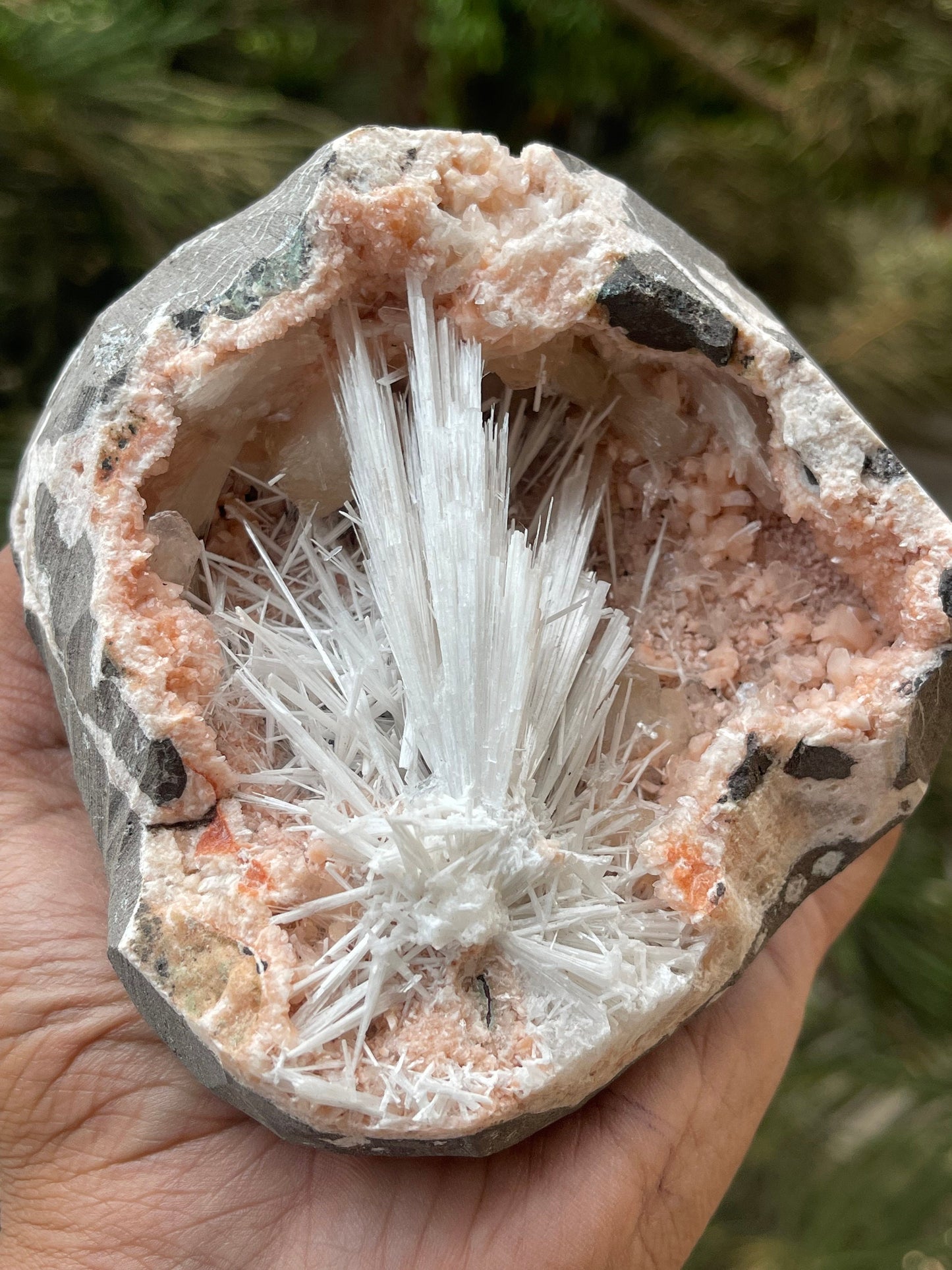 Scolecite flower inside orange haulandite geode