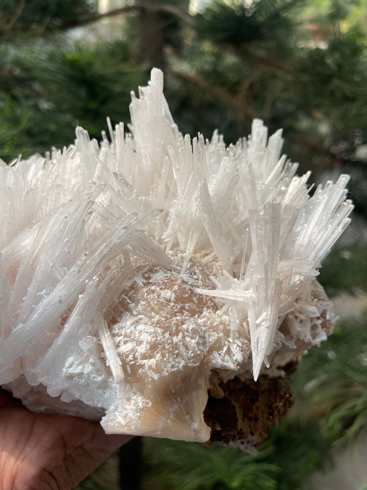 Scolecite spray on stilbite base