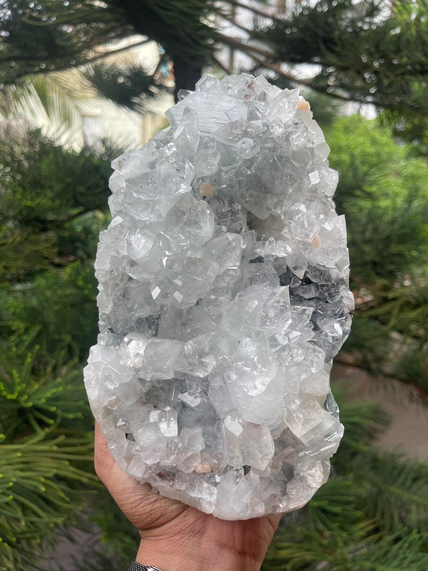 Glossy apophyllite crystal with stilbite on blue chalcedony matrix standing piece