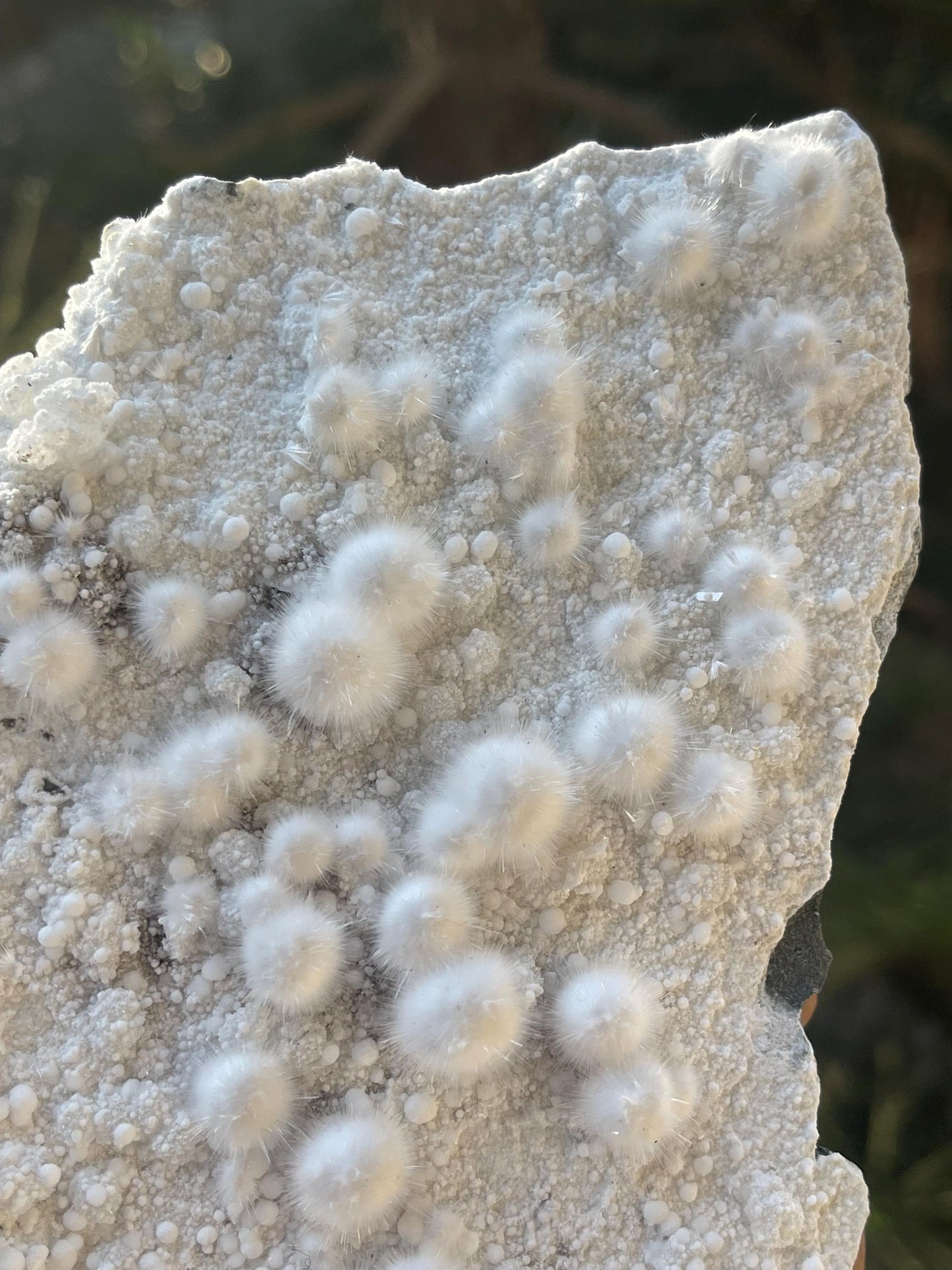 multiple okenite balls on matrix